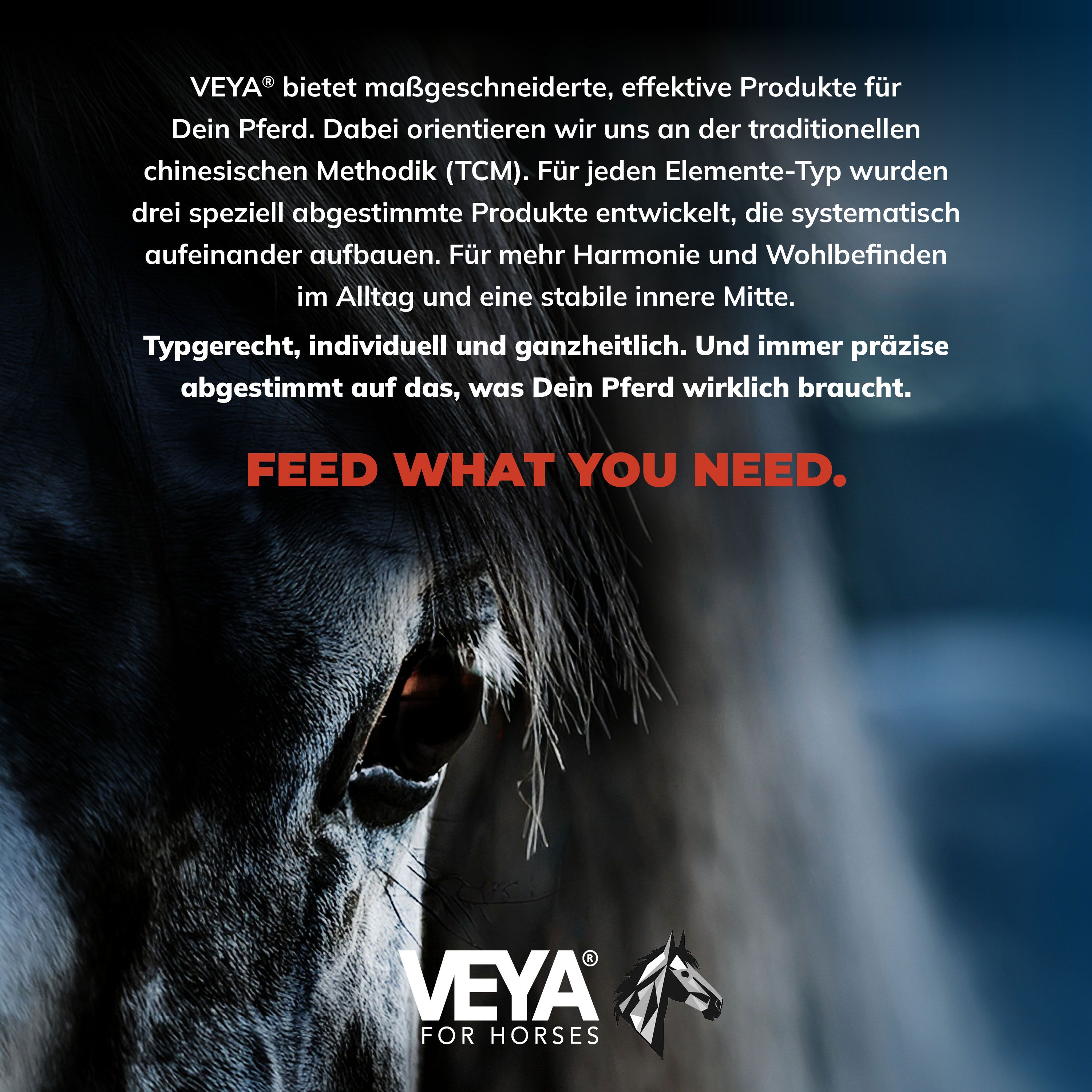 VEYA WASSER-TYP 2 Knochen & Gelenke