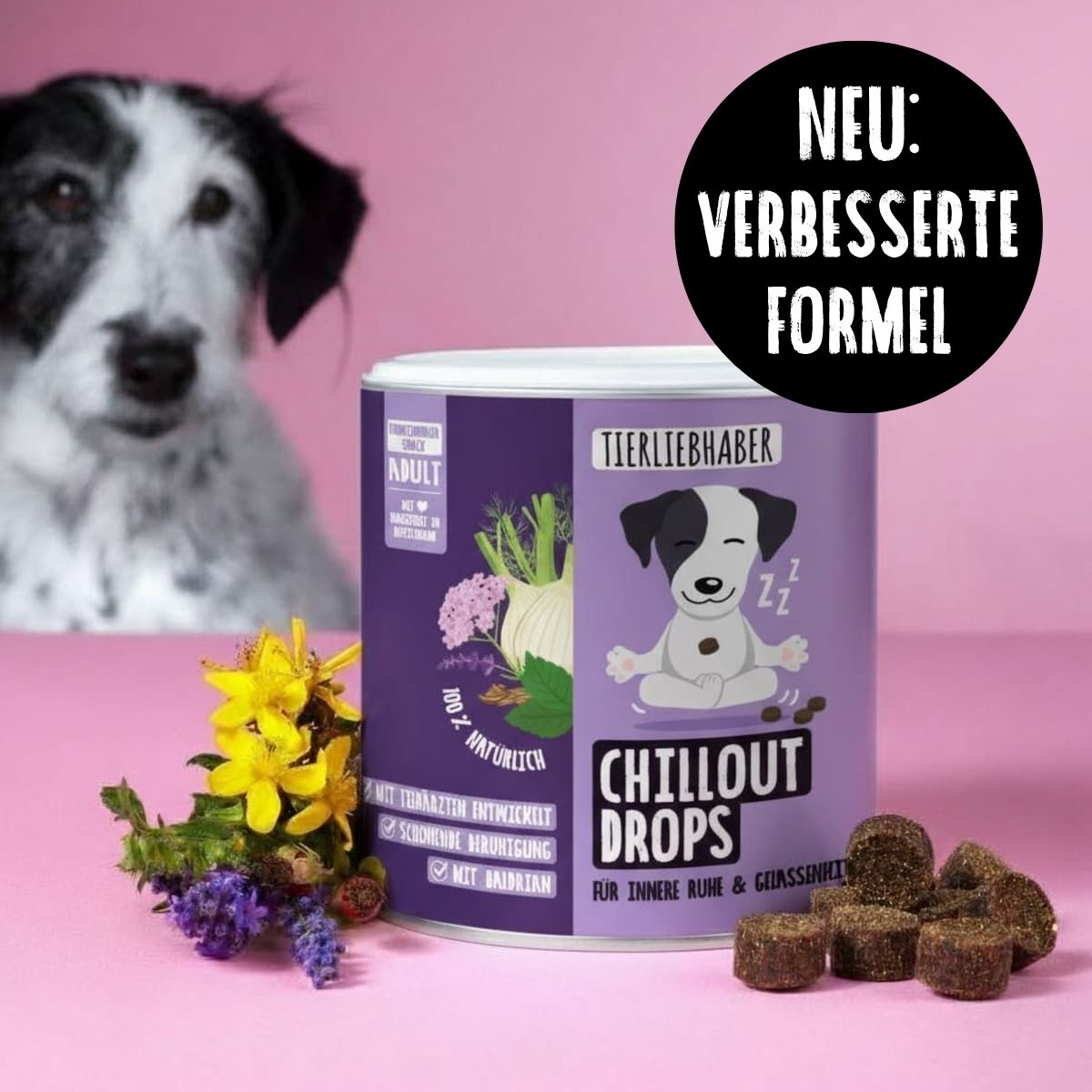 Dose mit lila Etikett, daneben Hund und Leckerlis. Aufschrift: Tierliebhaber Chillout Drops. Text: Verbesserte Formel. Leckerlis in Würfelform.