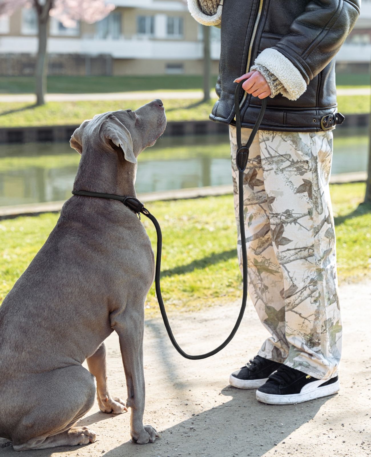 lionto Retrieverleine für Hunde - Hundeleine