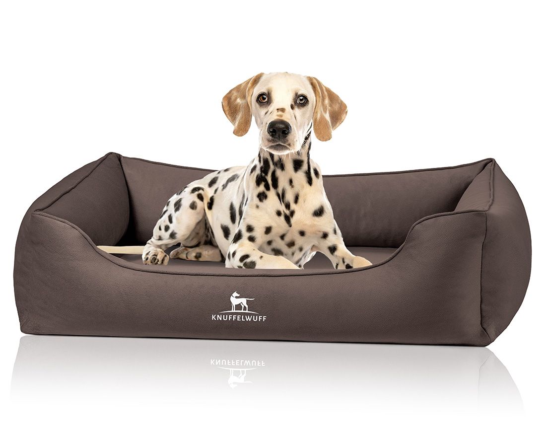 Braunes orthopädisches Hundebett mit Knuffelwuff-Logo. Ein Dalmatiner liegt entspannt im Bett.