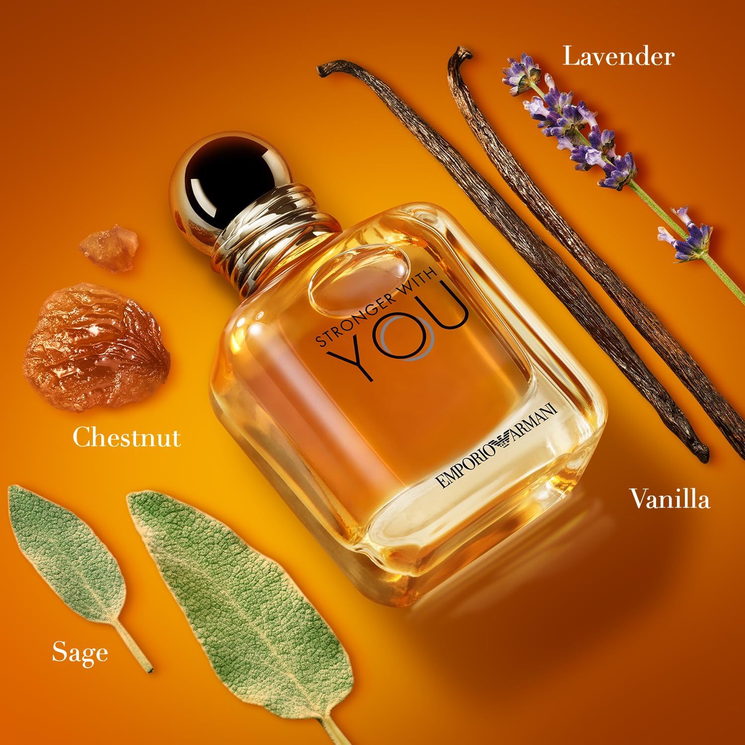 Parfümflakon mit Zutaten: Kastanie, Salbei, Vanille, Lavendel. Aufschrift: STRONGER WITH YOU und EMPORIO ARMANI.
