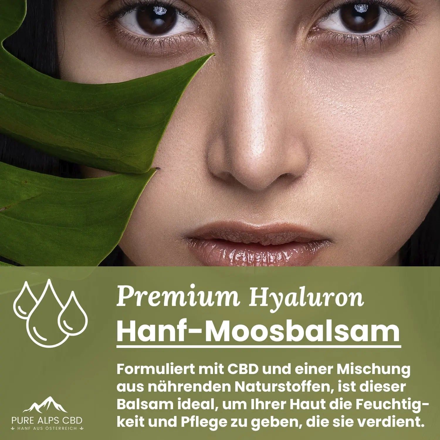 Pure Alps Moosbalsam mit Hyaluronsäure
