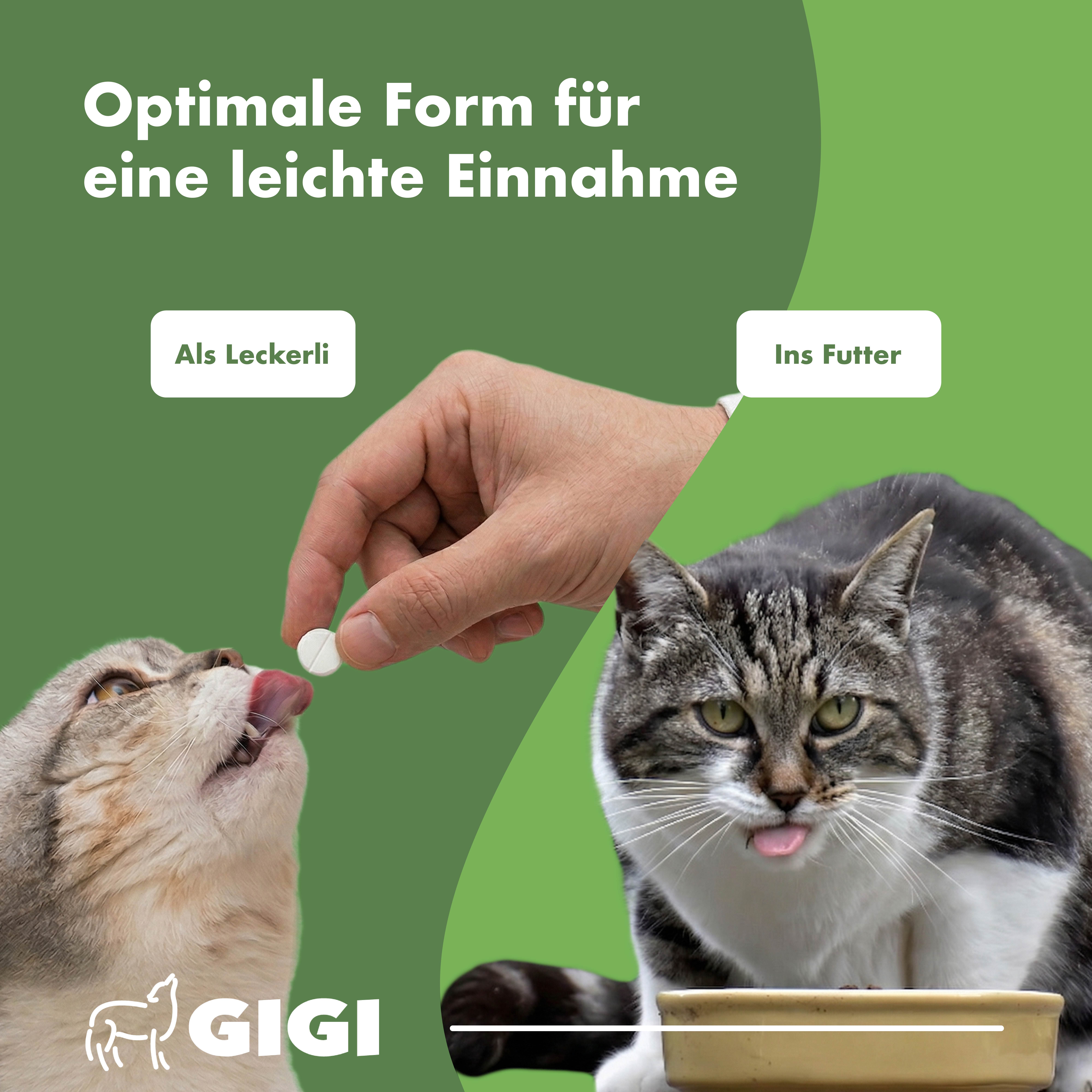 Zwei Katzen, eine Tablette wird verabreicht. Text: Optimale Form für eine leichte Einnahme. Optionen: als Leckerli, ins Futter.