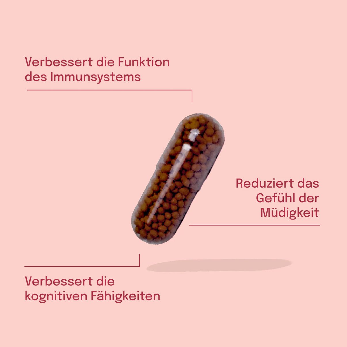Sundt Ashwagandha Kapseln