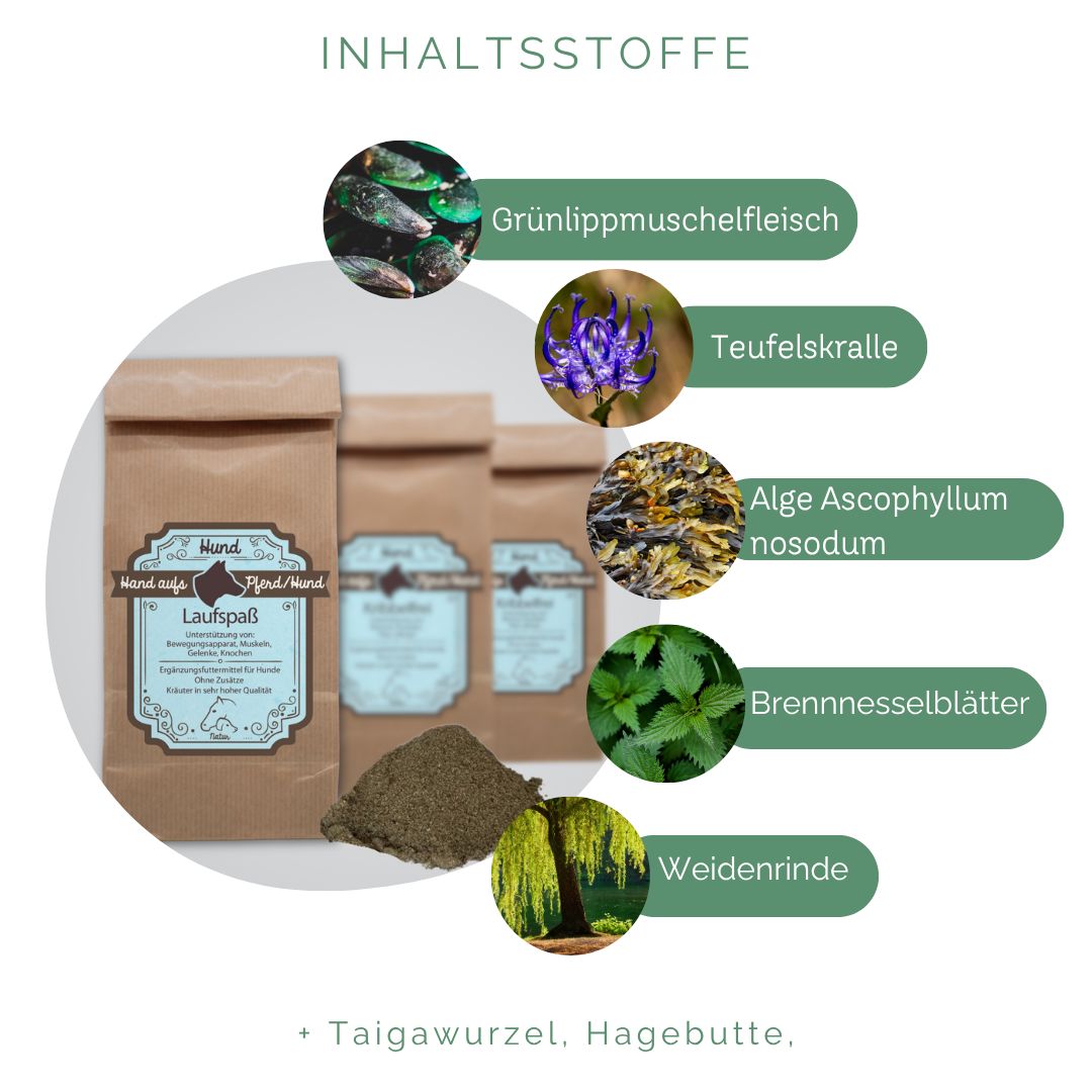 Drei braune Papiertüten mit Produktetiketten und Kräuterpulver. Inhaltsstoffe: Grünlippmuschelfleisch, Teufelskralle, Alge, Brennnesselblätter, Weidenrinde.