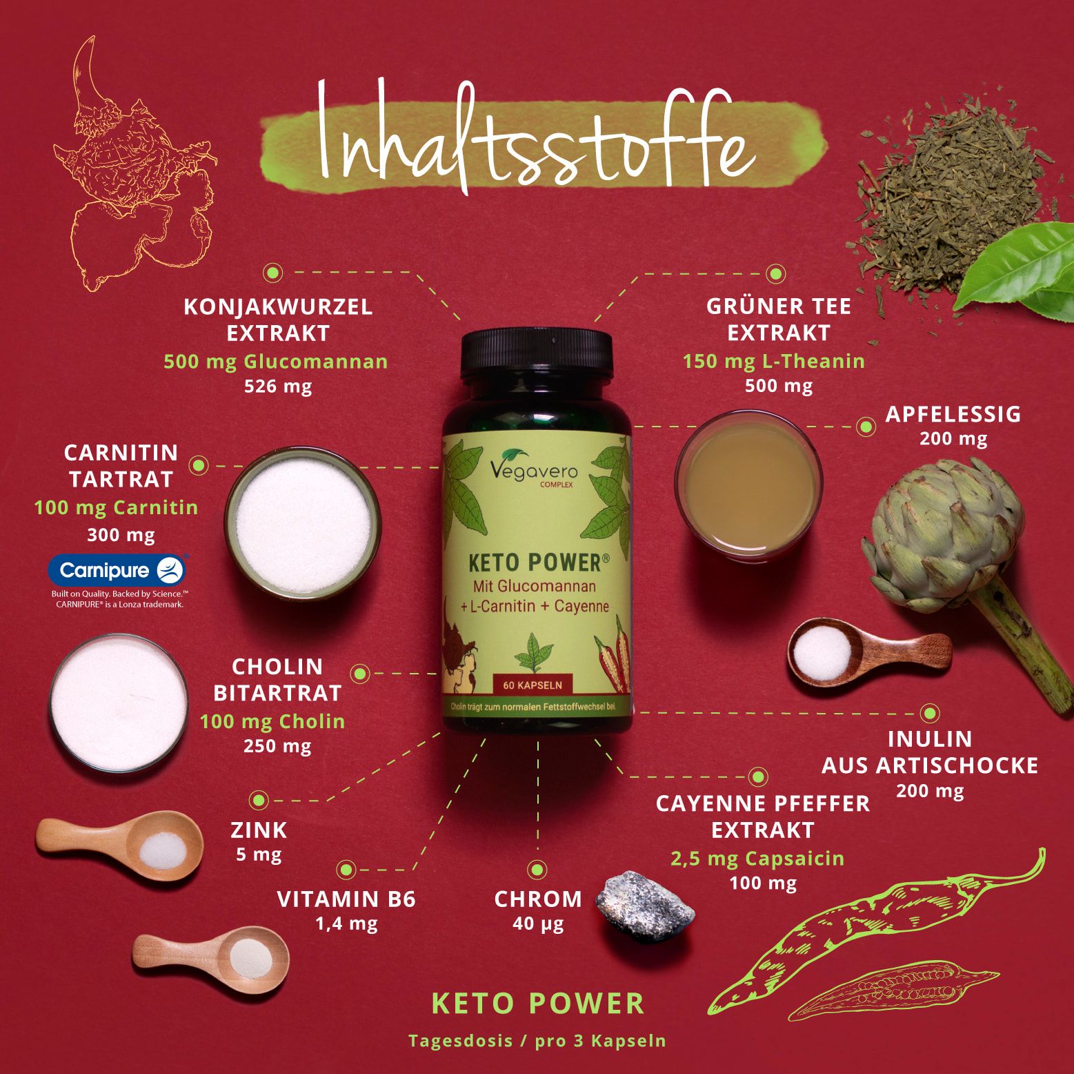 Grafik mit Inhaltsstoffen: Konjakwurzel, Grüner Tee, Carnitin, Cholin, Zink, Vitamin B6, Chrom, Apfelessig, Cayennepfeffer, Inulin.