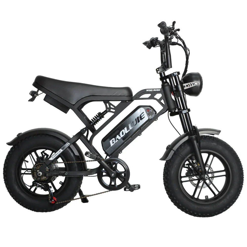 BAOLUJIE F2 E-Bike mit Vollfederung, 48 V 13 Ah, 16" x 4,0"