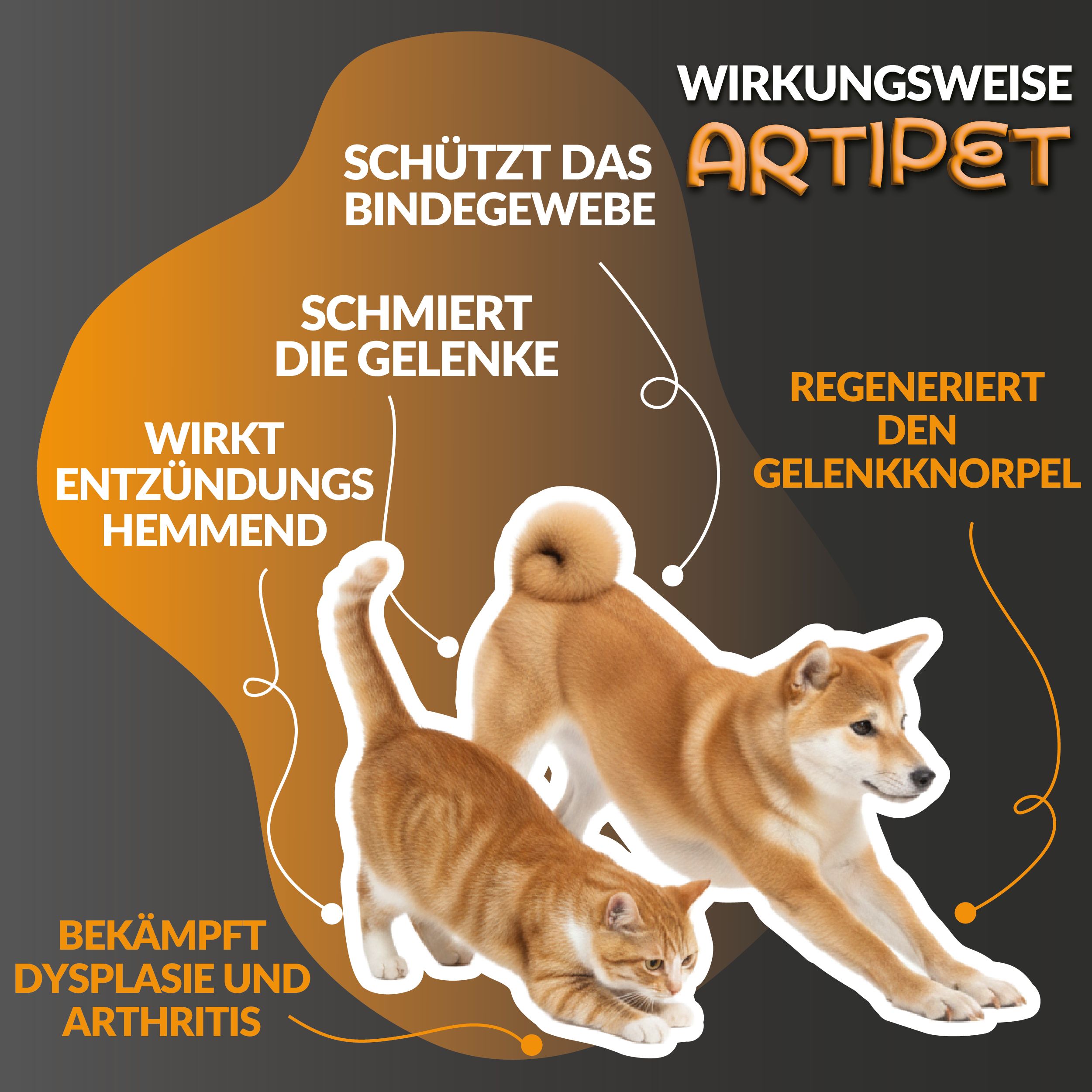 Produktflasche mit Hund und Katze. Text: Artipet, wirkt entzündungshemmend, schmiert Gelenke. 120 Tabletten.