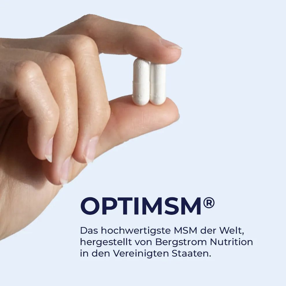 Sundt MSM Kapseln