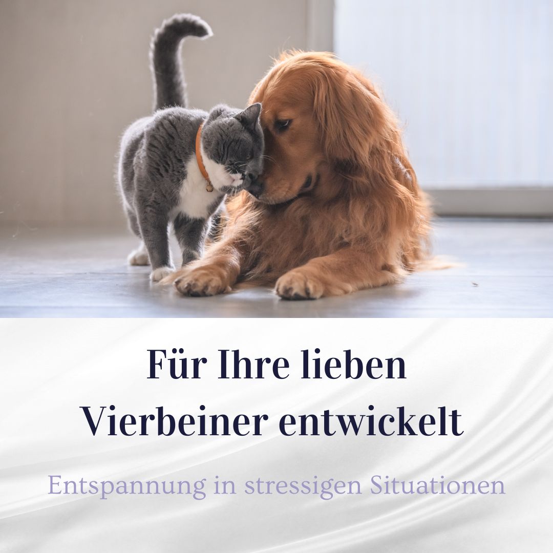 Deichtau Bio CBD Öl 10% für Hund & Katze - CBD-Hanföl-Tropfen – Echtes Cannabisöl - Deutsche Marke