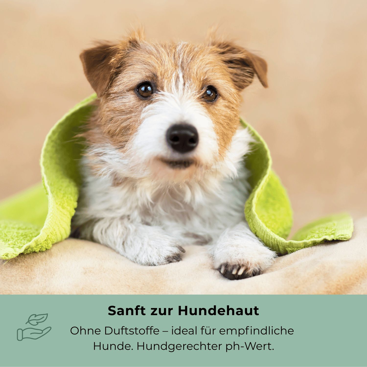 Ein Hund, eingewickelt in ein grünes Handtuch. Sanft zur Hundehaut, ohne Duftstoffe.