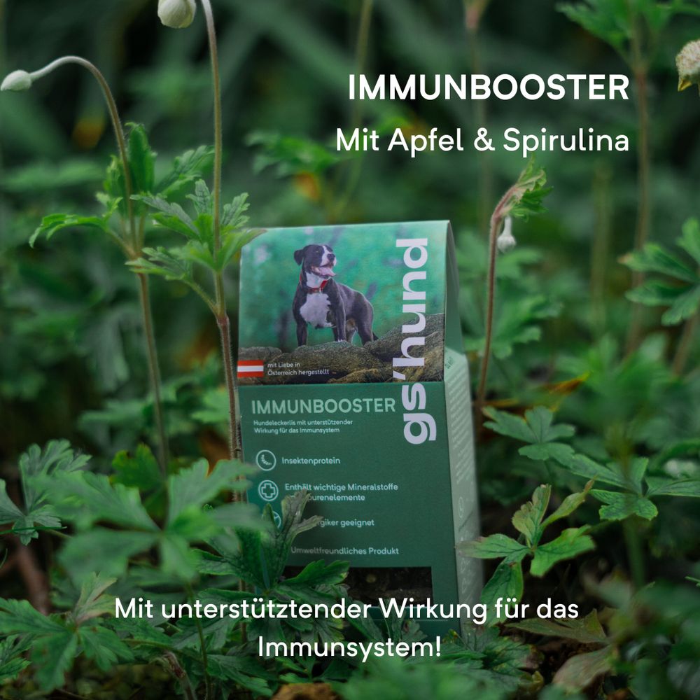 gs´hund - Funktionsleckerli Immunbooster 80 g