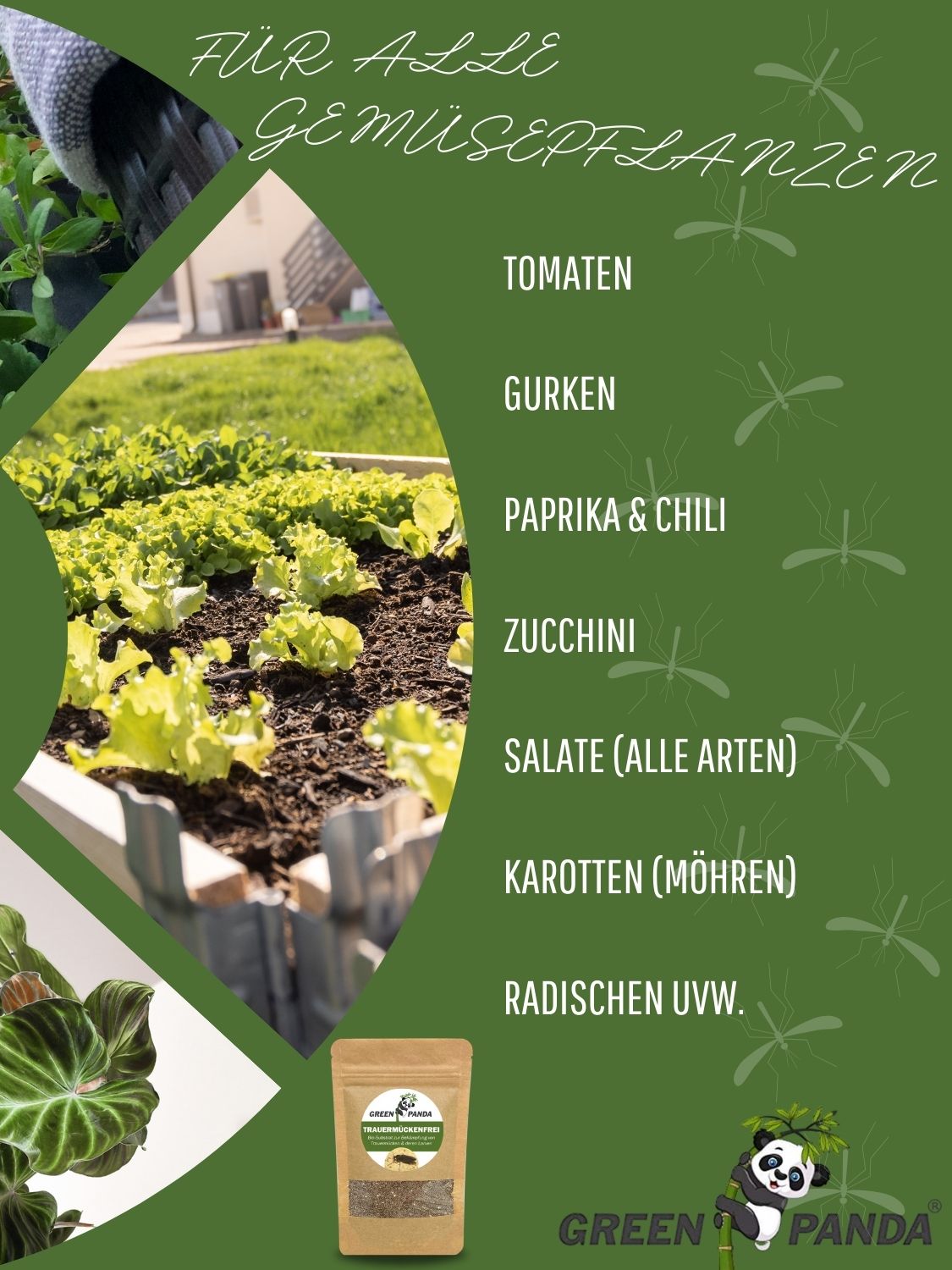 Grüner Flyer mit Pflanzen und Produkt. Text: Für alle GemüsePflanzen. GreenPanda Trauermückenfrei im Beutel.