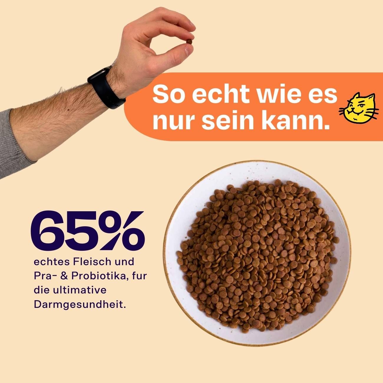 Nahaufnahme von braunen, runden Trockenfutter-Pellets in einer weißen Schale. Text: 65% echtes Fleisch und Prä- & Probiotika.