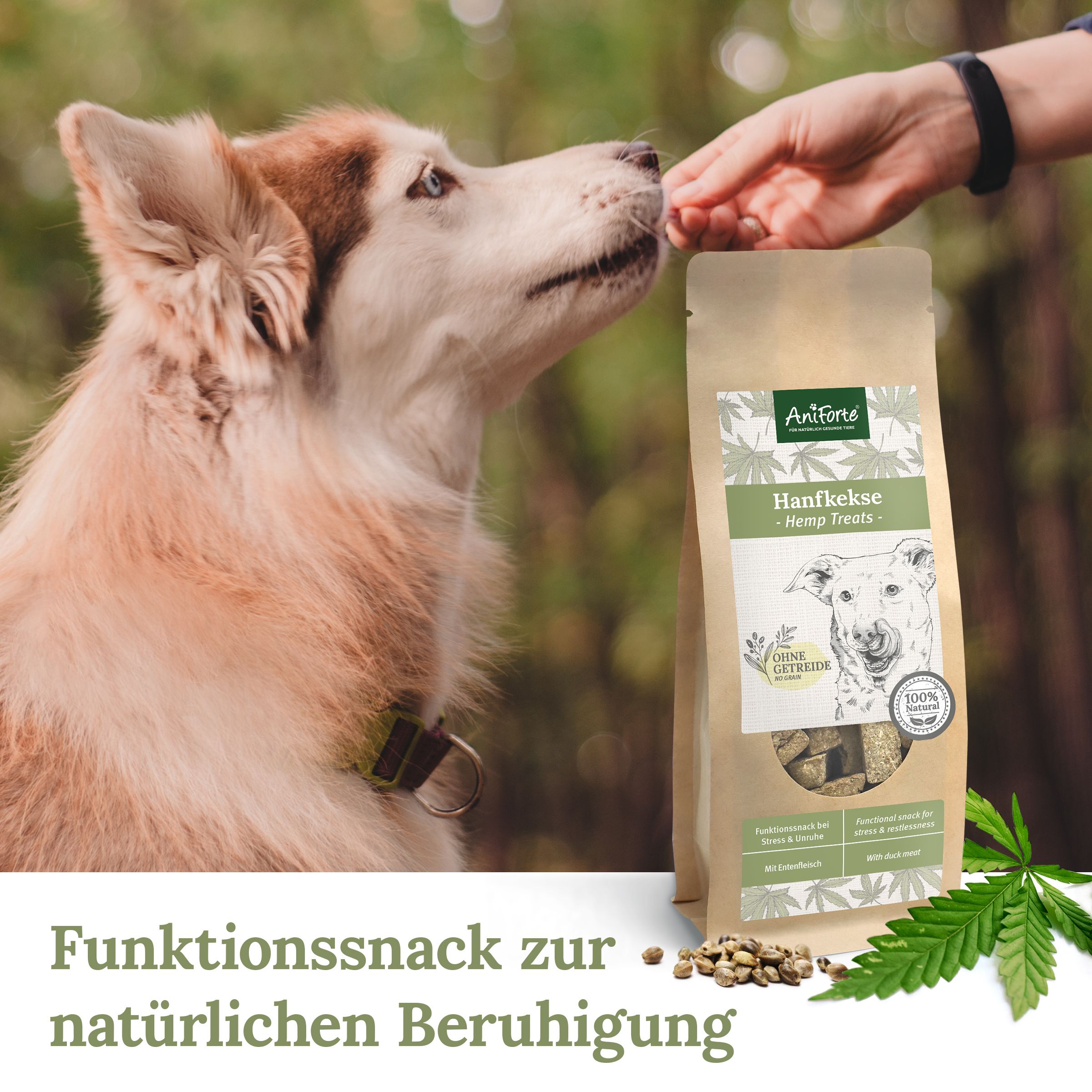 AniForte Hanfkekse