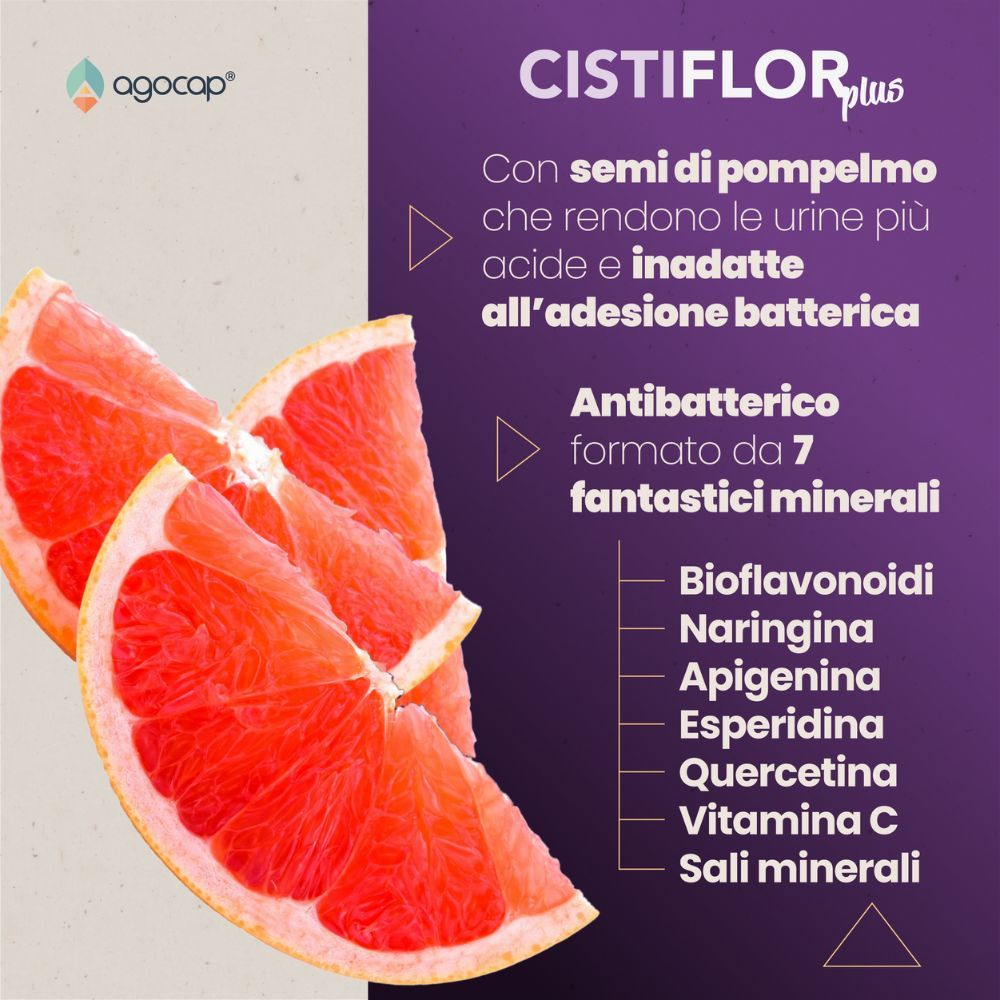 Grafica con metà di pompelmo. Testo: Semi di pompelmo, rendono l'urina acida. Antibatterico.