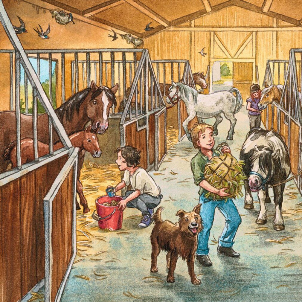 Pz. Mein Reiterhof 3x49T