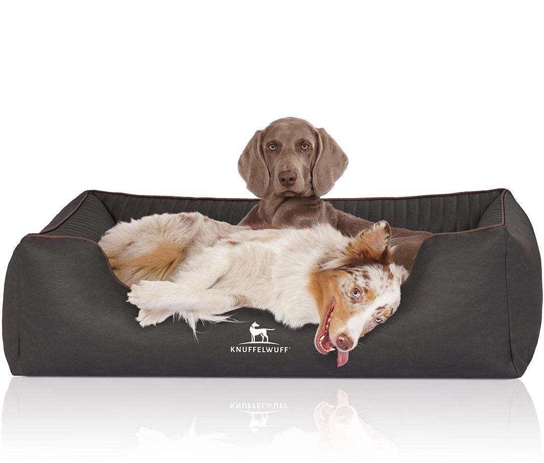 Hundebett Columbia mit zwei Hunden. Ein Hund liegt, einer sitzt. Logo Knuffelwuff. Dunkelgraues Bett mit braunen Ziernähten.