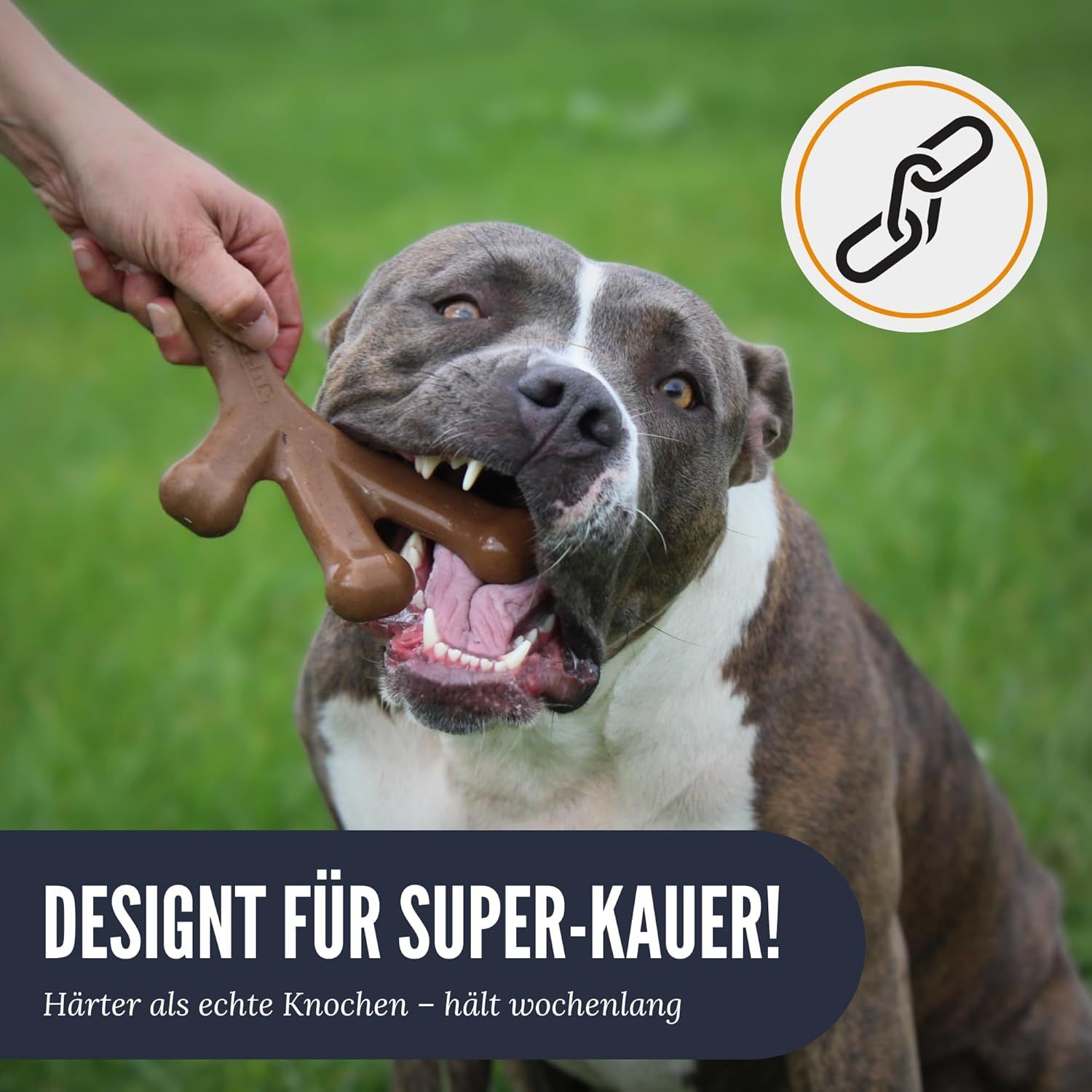 Hund beißt in braunes Kauspielzeug. Text: DESIGNT FÜR SUPER-KAUER! Logo mit Kettenglied.