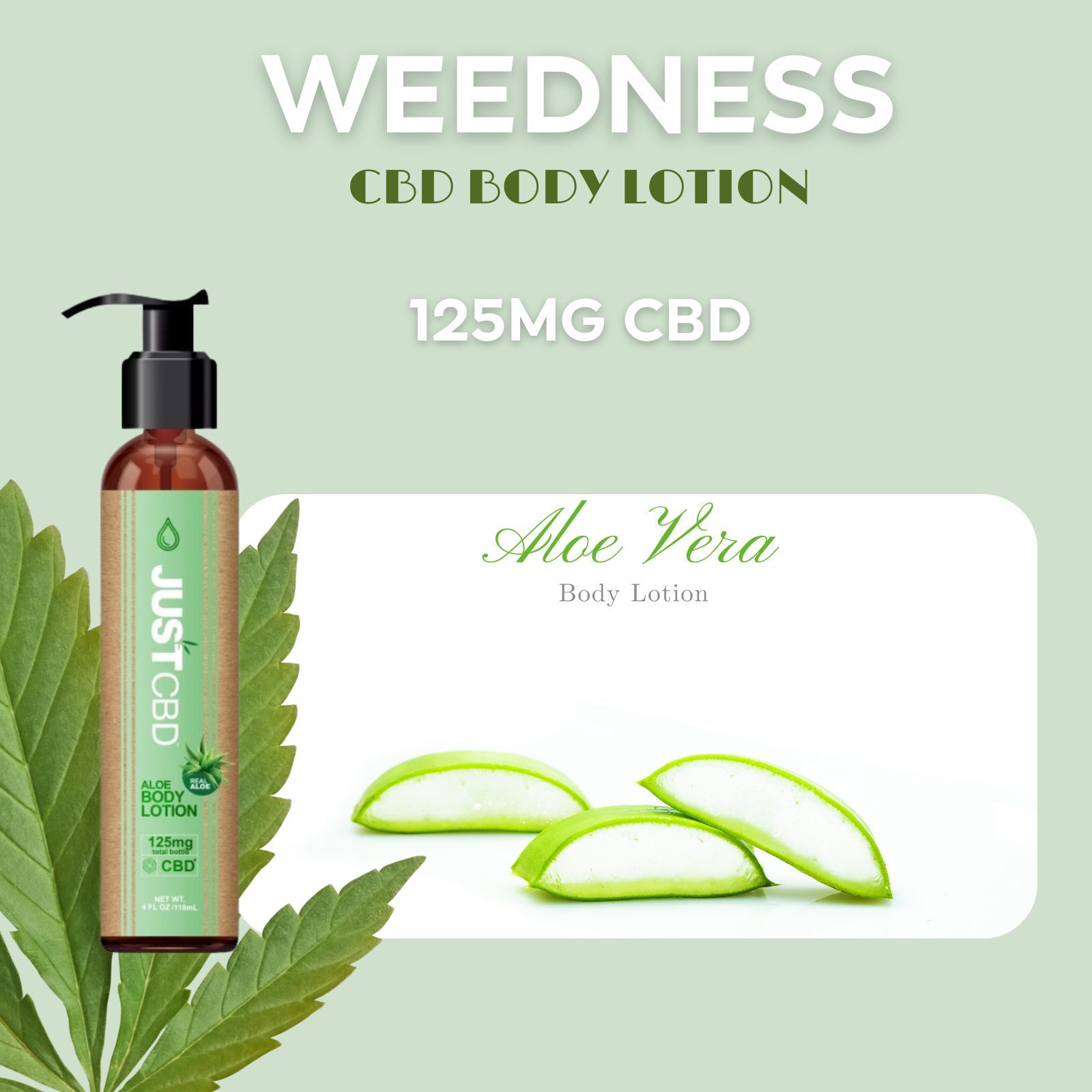 Flasche JUSTCBD Aloe Body Lotion, daneben Aloe Vera Blätter und Text: WEEDNESS, 125MG CBD, Aloe Vera Body Lotion.
