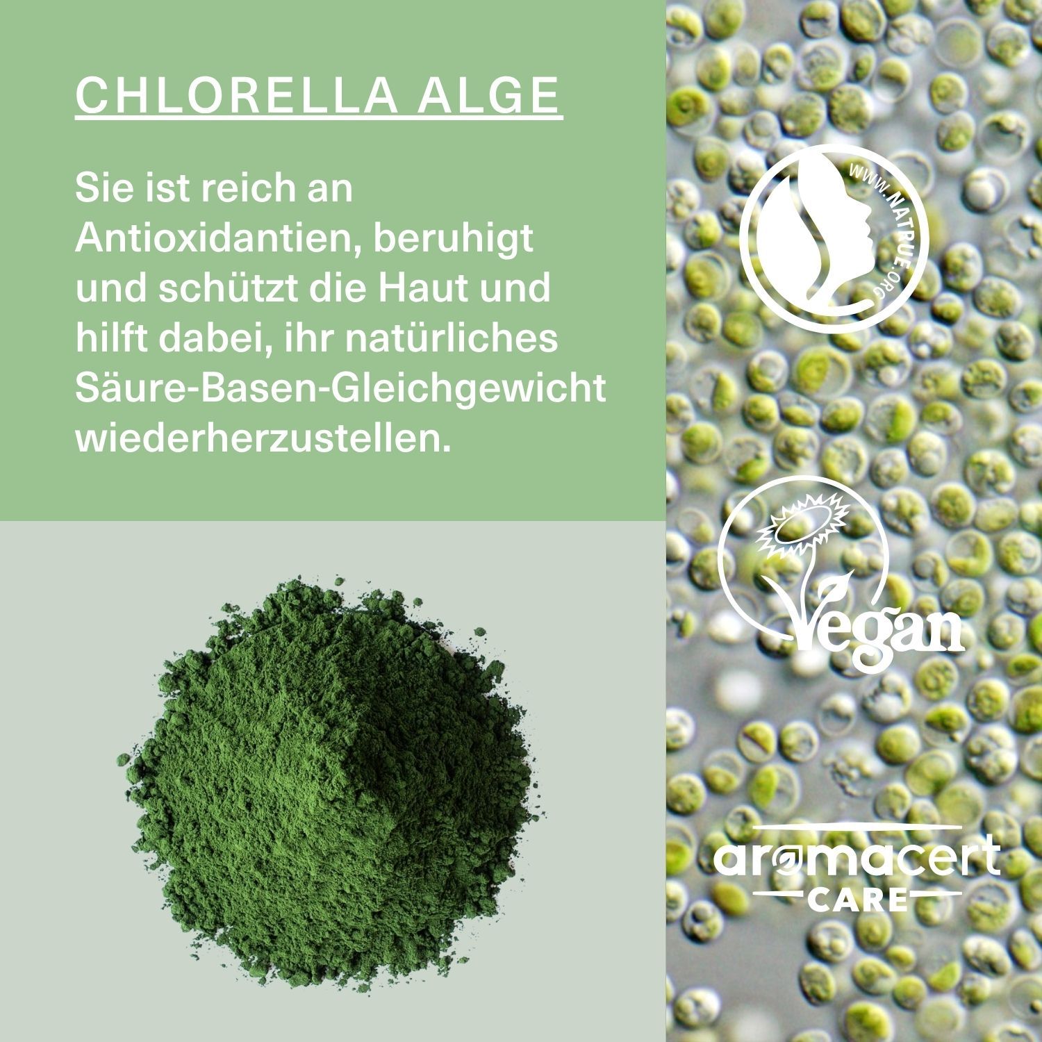 Chlorella-Algenpulver und mikroskopische Ansicht. Text: Chlorella Alge. Vegan-Siegel. Aromacert-Logo.
