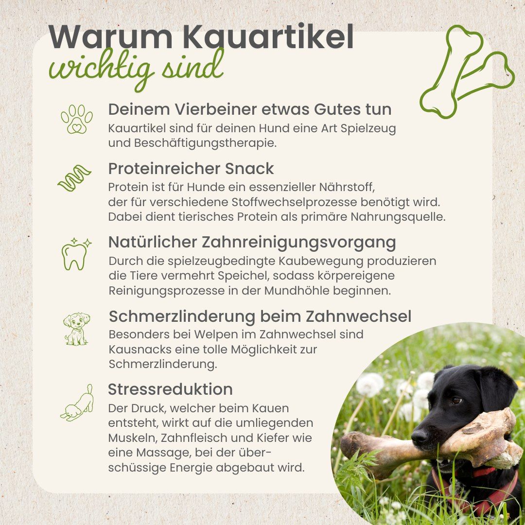 Hintergrundinformationen zu Kauartikeln für Hunde.