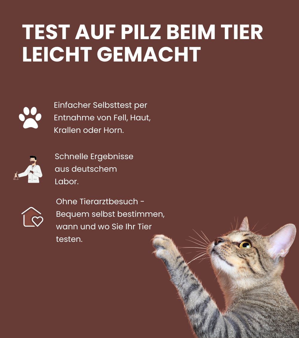 MetaLytic Pilz Test für Tiere (Hautpilz, Pfotenpilz und Hufpilz)