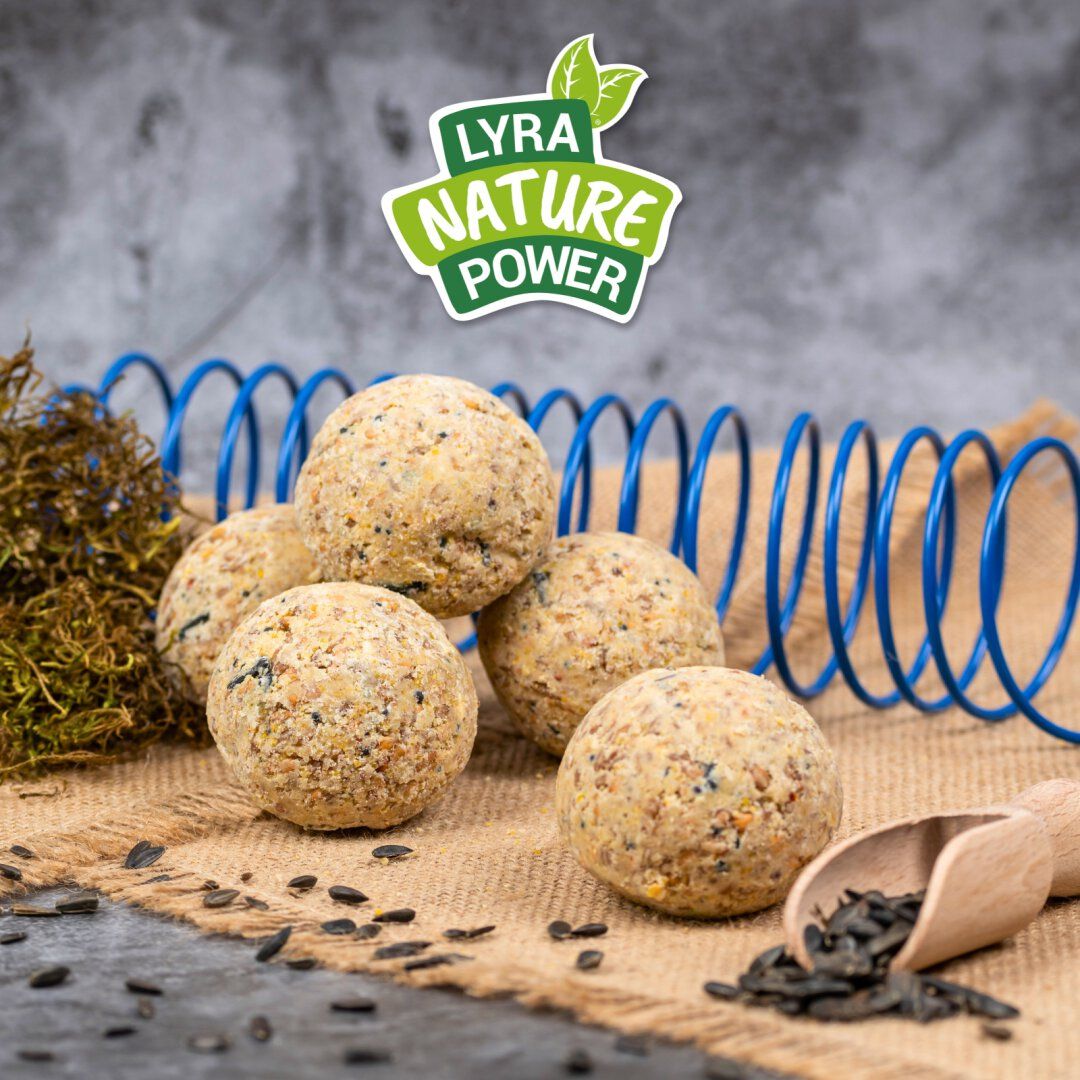 Lyra Pet® Meisenknödel ohne Netz 9 kg - Shop Apotheke