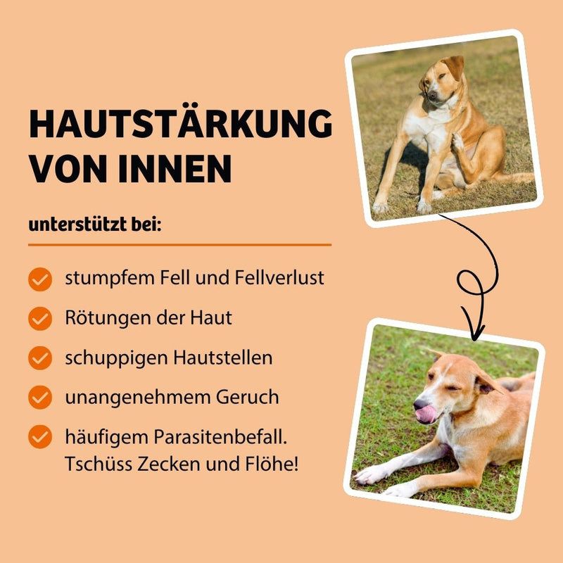 BugBell Trockenfutter SkinHero - Fellpflege & Parasitenabwehr