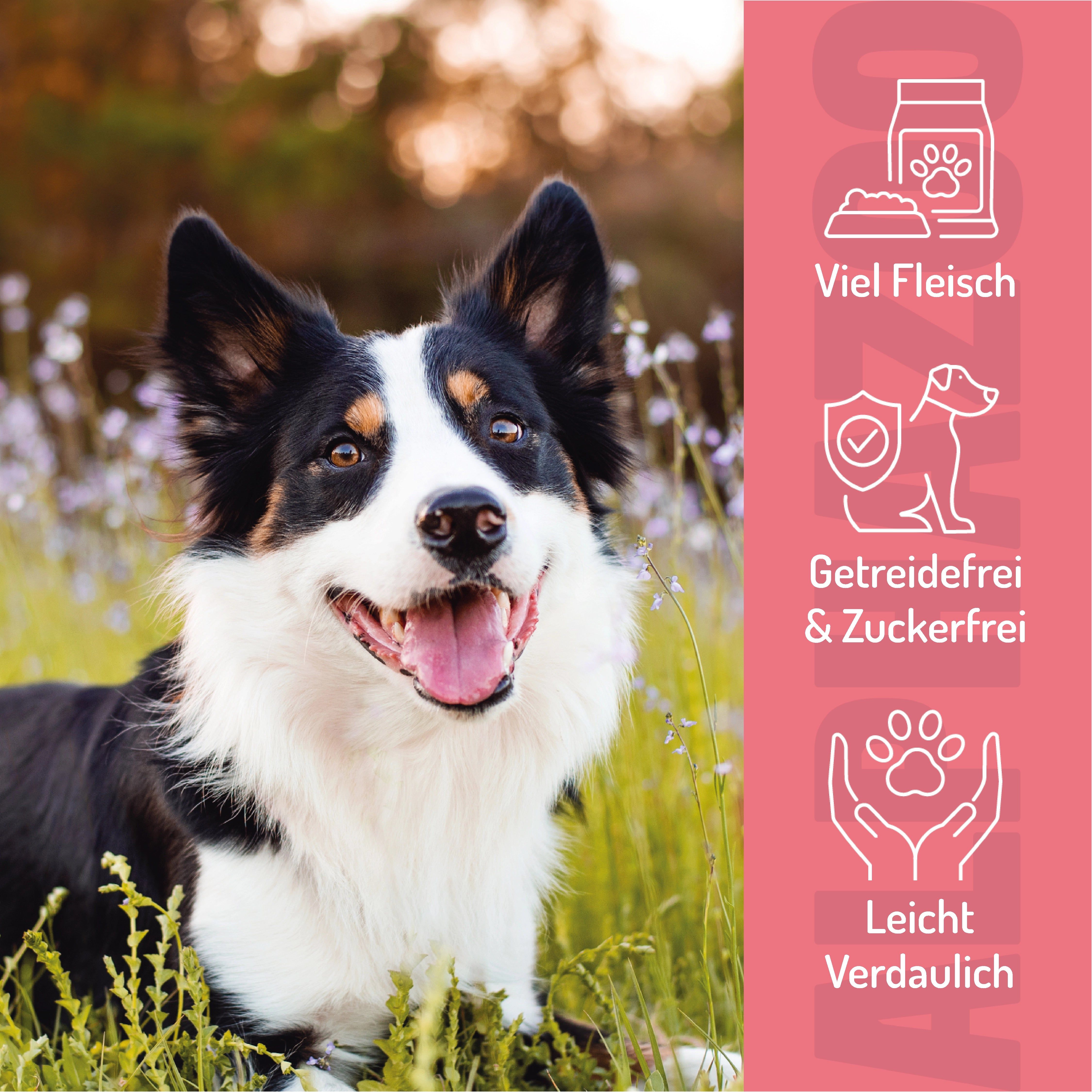 Hund im Gras. Text: 'Viel Fleisch', 'Getreidefrei & Zuckerfrei', 'Leicht verdaulich'. Rosa Hintergrund mit Icons.
