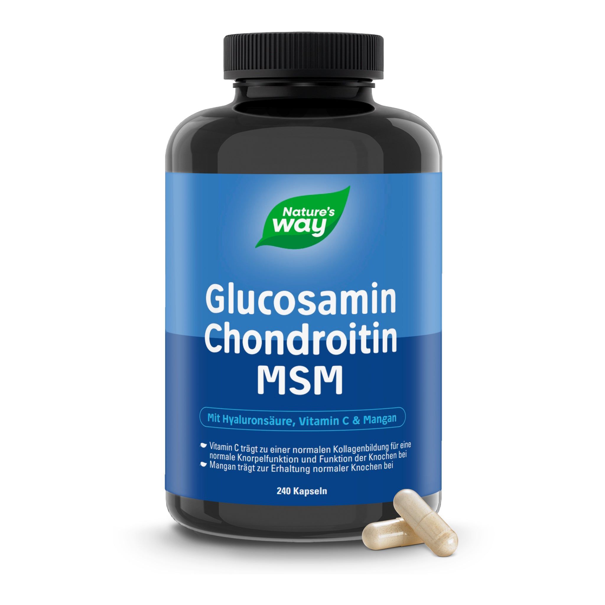 Nature's Way Glucosamin Chondroitin MSM Kapseln