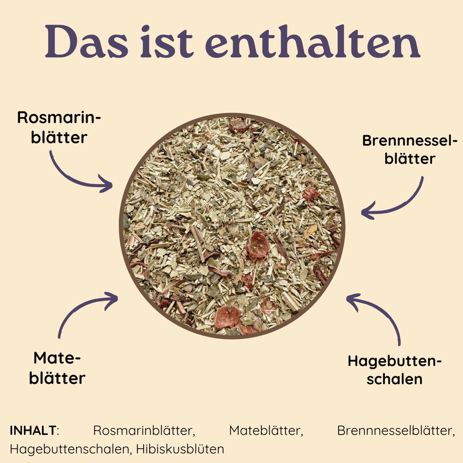 Kreisförmige Anordnung von Kräutern. Pfeile zeigen auf Rosmarin-, Mate-, Brennnessel- und Hagebuttenschalen.