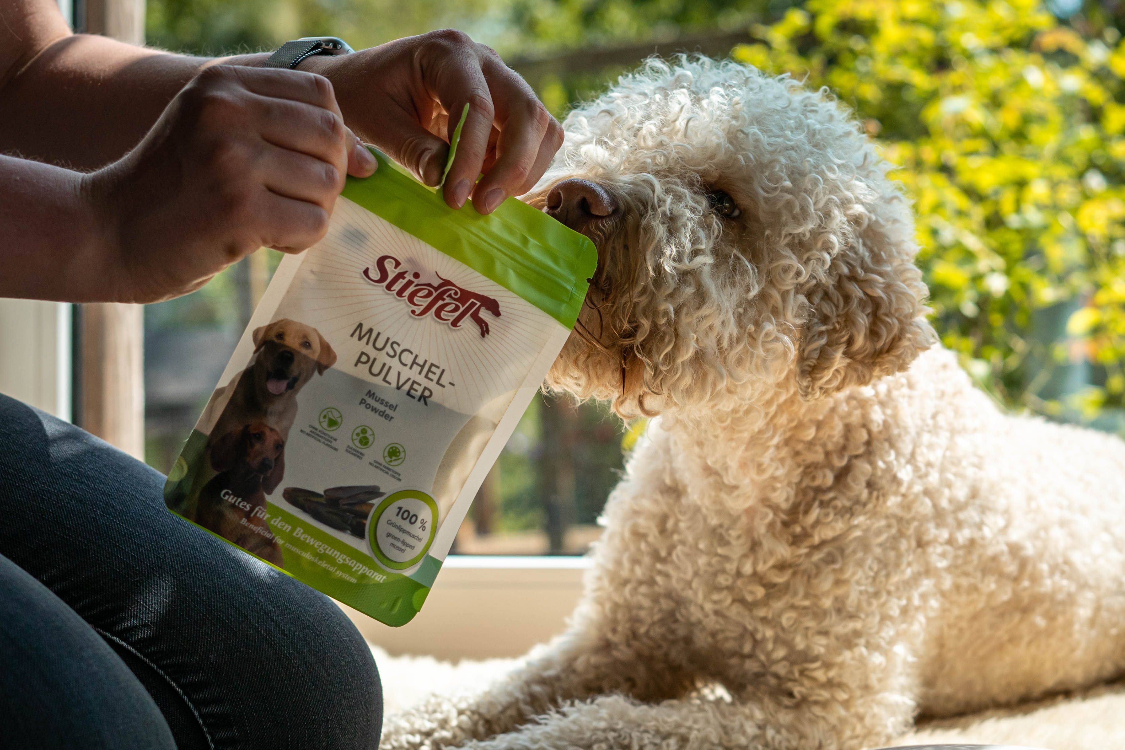 Person hält eine grüne Stiefel Muschelpulver-Verpackung. Ein Hund ist im Hintergrund zu sehen. Die Verpackung zeigt das Produkt und Logo.