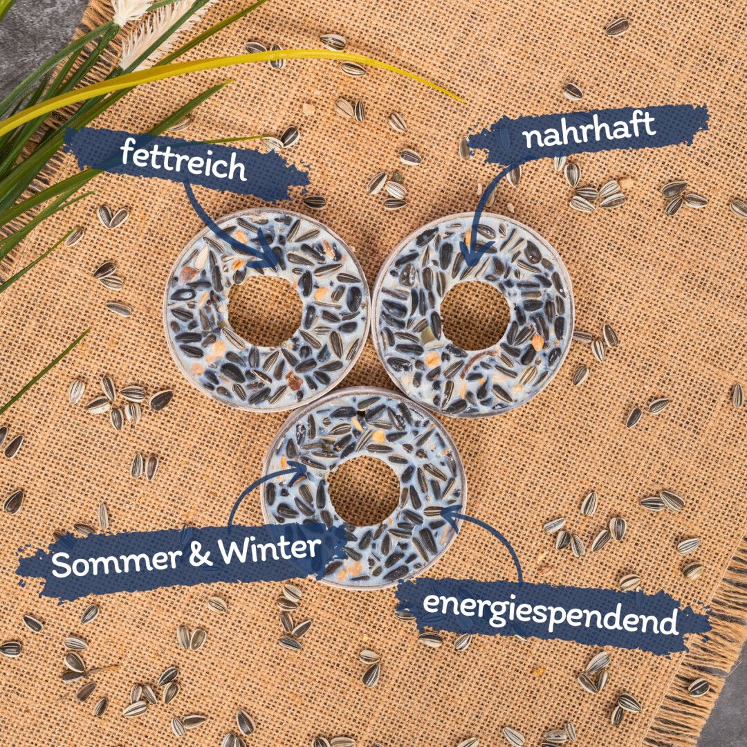 Drei Meisenringe auf Jutestoff. Beschriftungen: fettreich, nahrhaft, Sommer & Winter, energiespendend.