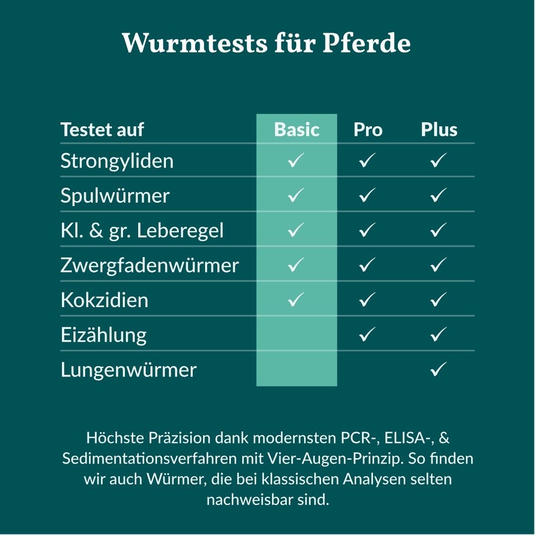 Vergleichstabelle der Wurmtests für Pferde: Basic, Pro, Plus. Zeigt getestete Parasiten und verwendete Methoden.