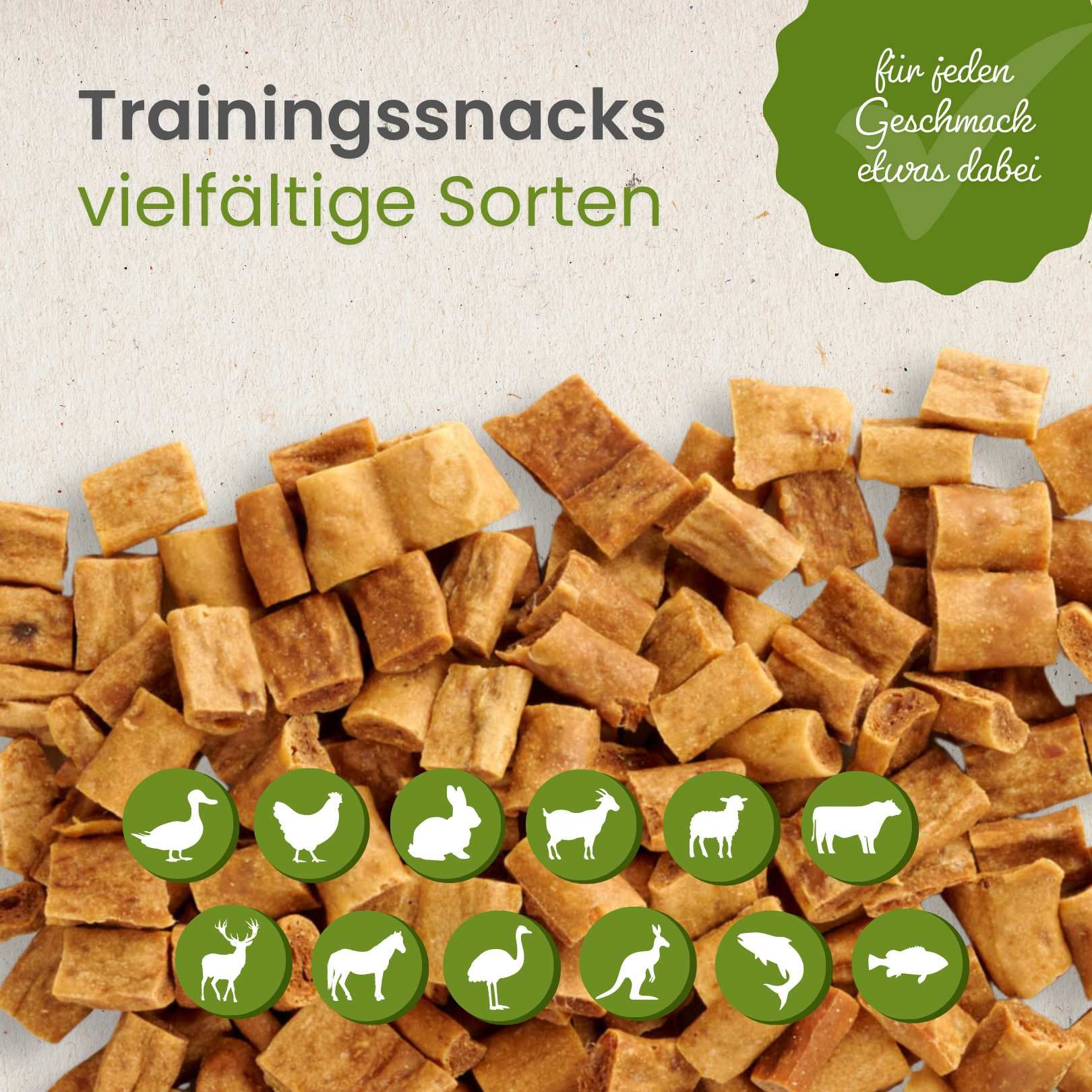 Ein Haufen kleiner, getrockneter Trainingssnacks für Hunde, auf hellem Untergrund.