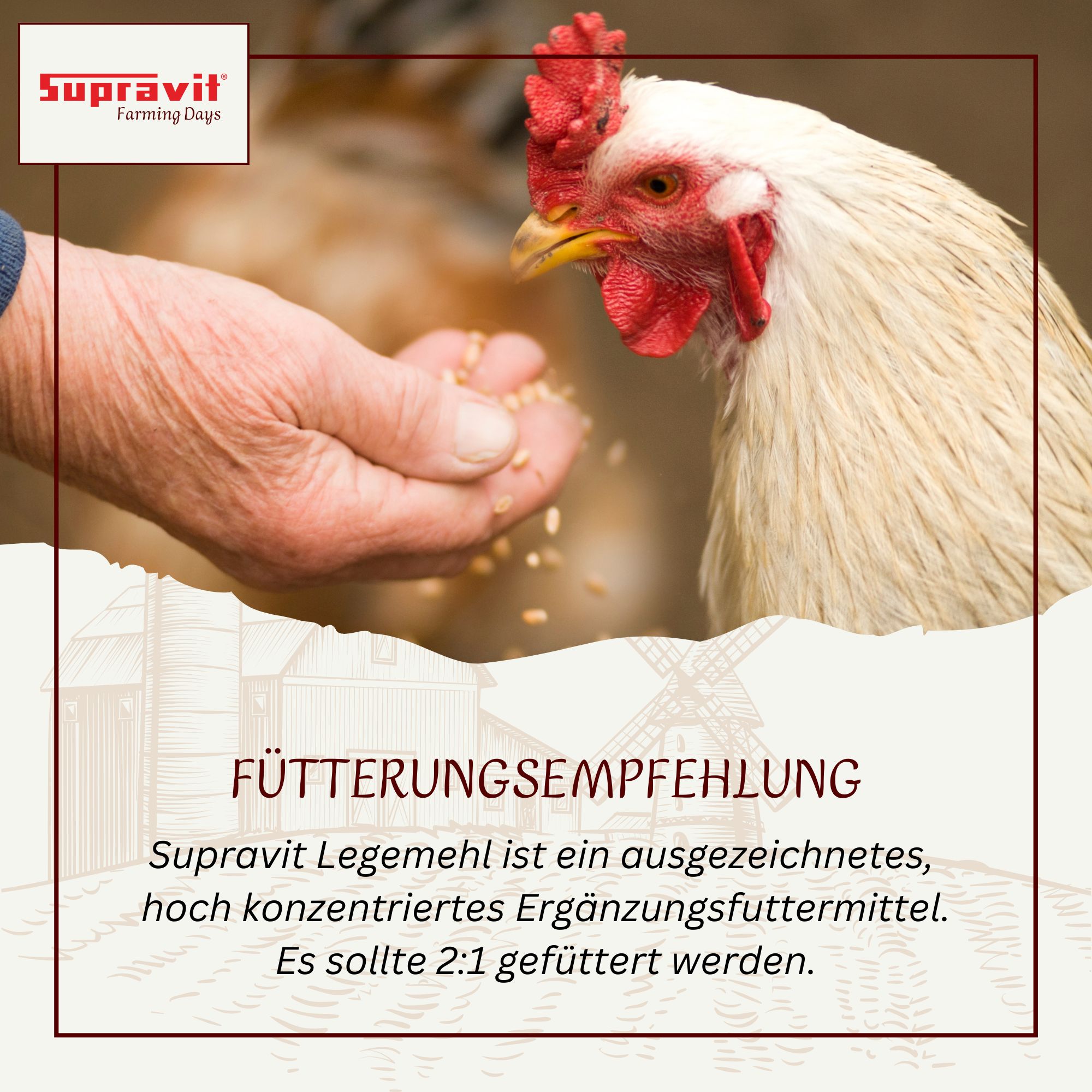 Hand füttert Huhn. Text: Fütterungsempfehlung. Supravit Legemehl ist ein Ergänzungsfuttermittel. Logo: Supravit.