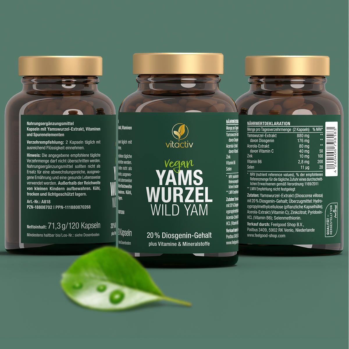 Vitactiv - Yamswurzel Wild YAM 1 St Kapseln