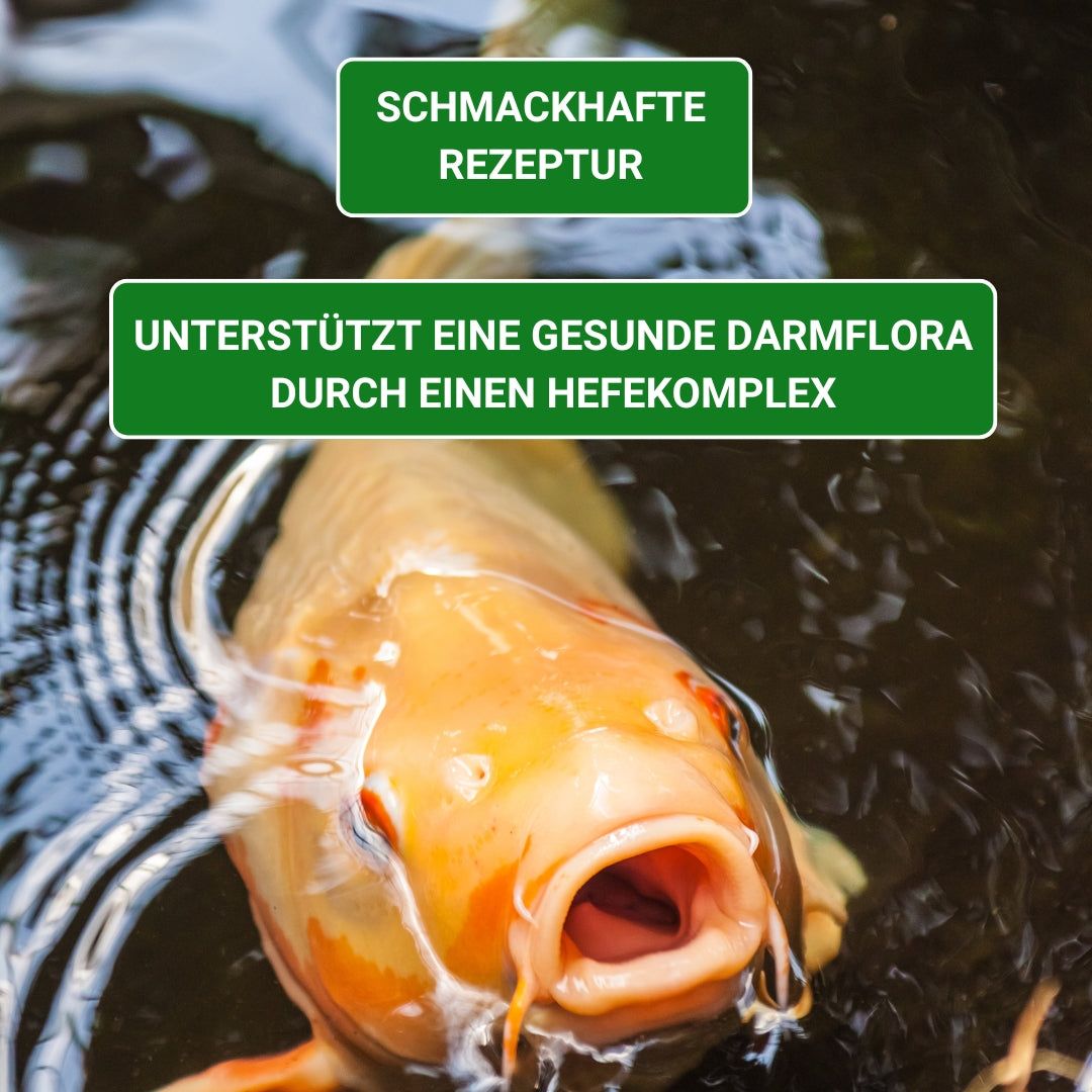KENKOU Spezial mit Spirulina