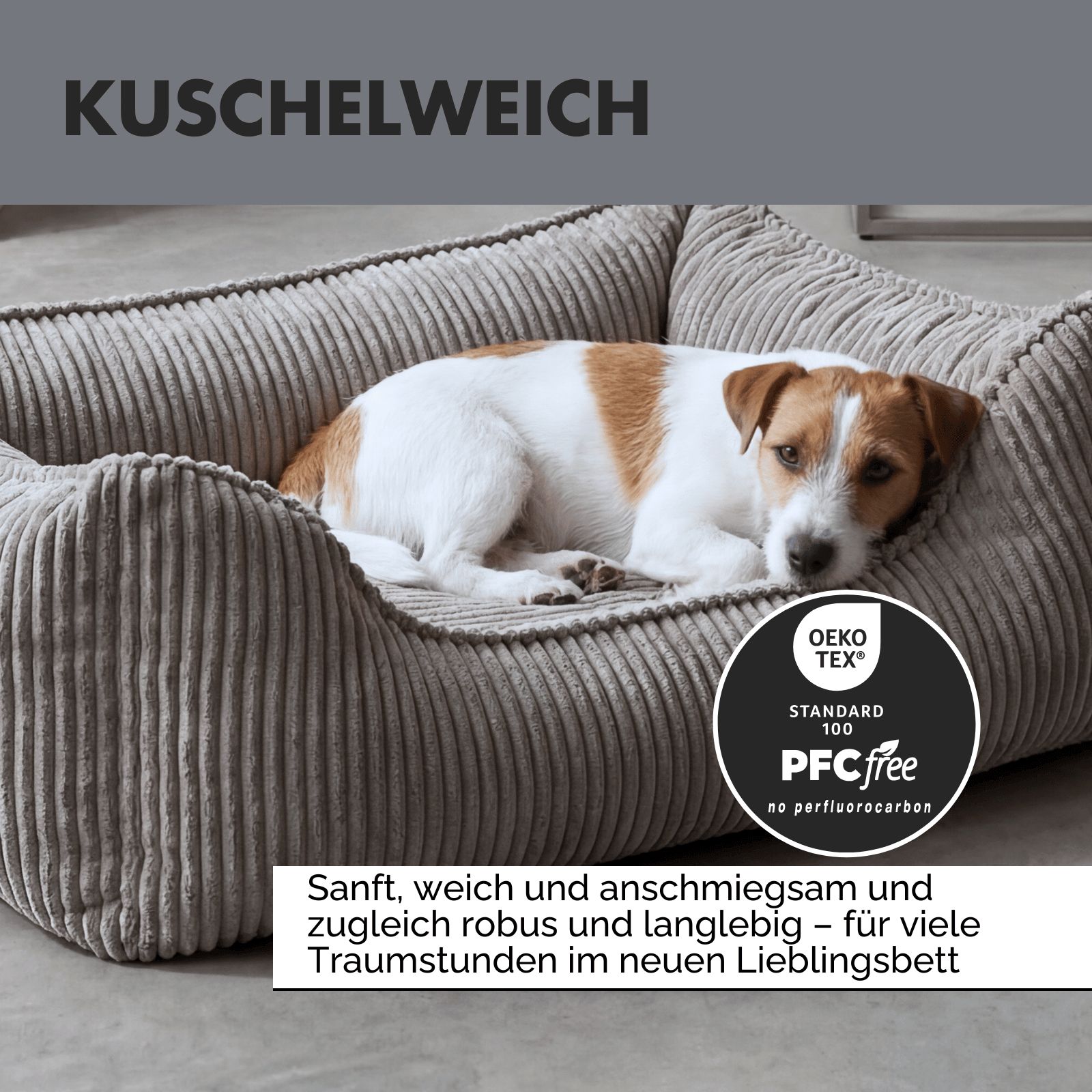 Hund liegt in grauem Hundebett mit Cord-Optik. Text: Kuschelweich. Oeko-Tex Standard 100.
