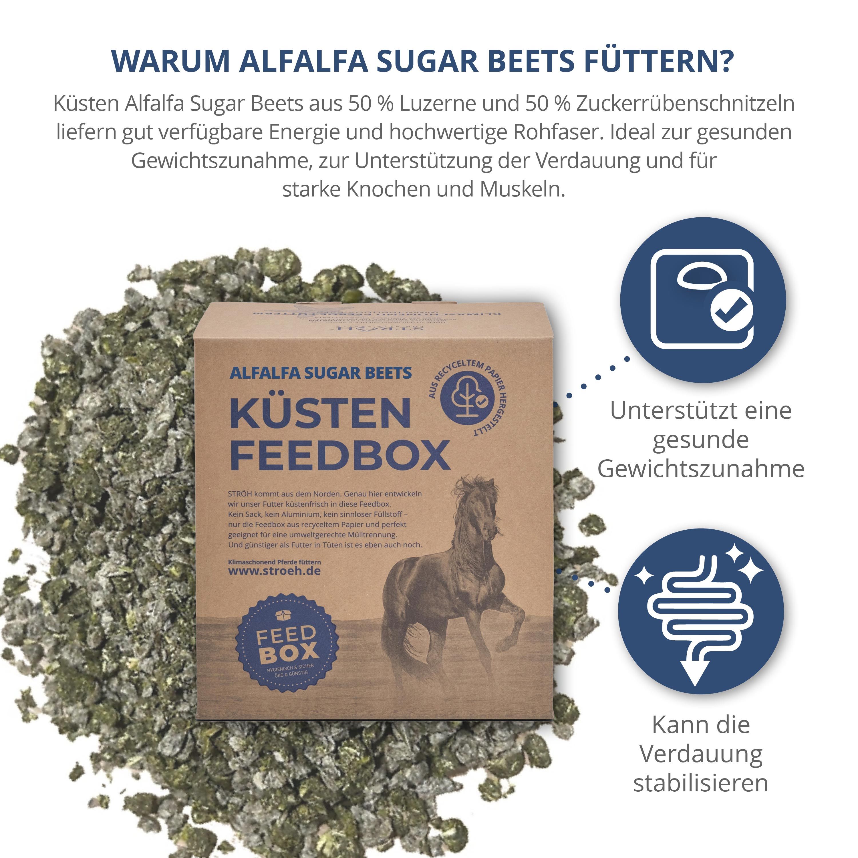Karton "Küsten Feedbox" mit Alfalfa Sugar Beets. Text: Warum Alfalfa Sugar Beets füttern? Produkt auf grünem Granulat. Grafiken mit Text.