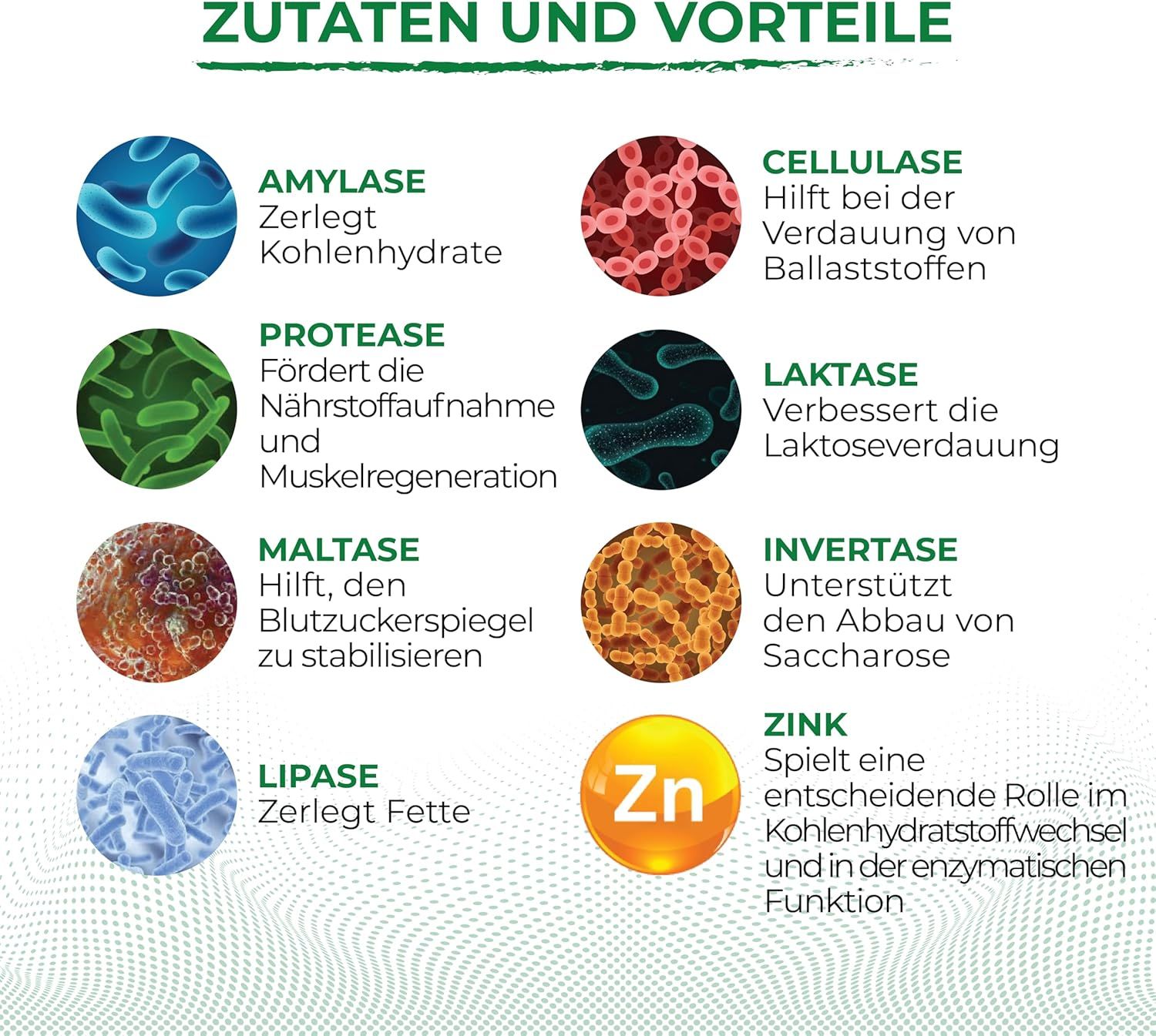 Biostile Carbo Digest – Verdauungsenzyme Kapseln mit Laktase & Zink
