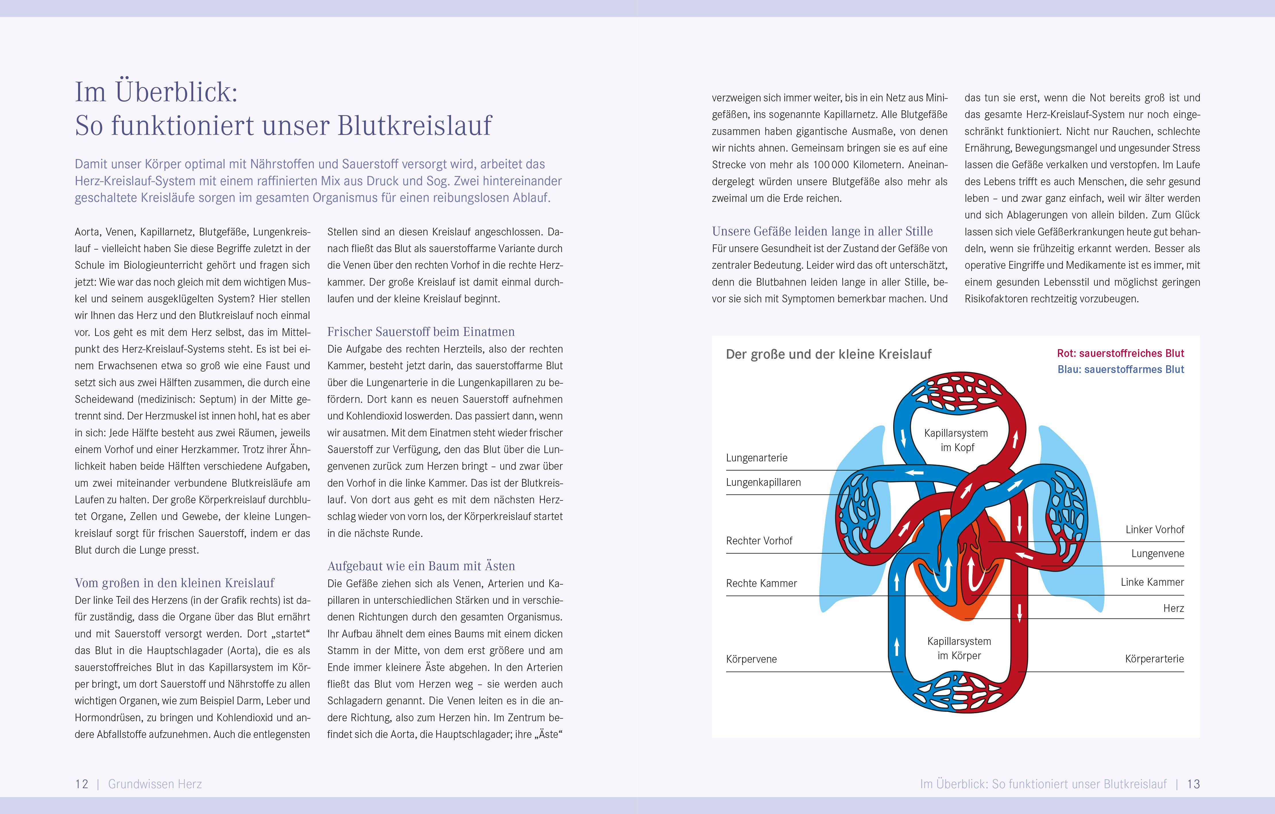 Buchseite mit Text und Illustrationen. Diagramm des menschlichen Blutkreislaufs. Text in deutscher Sprache.