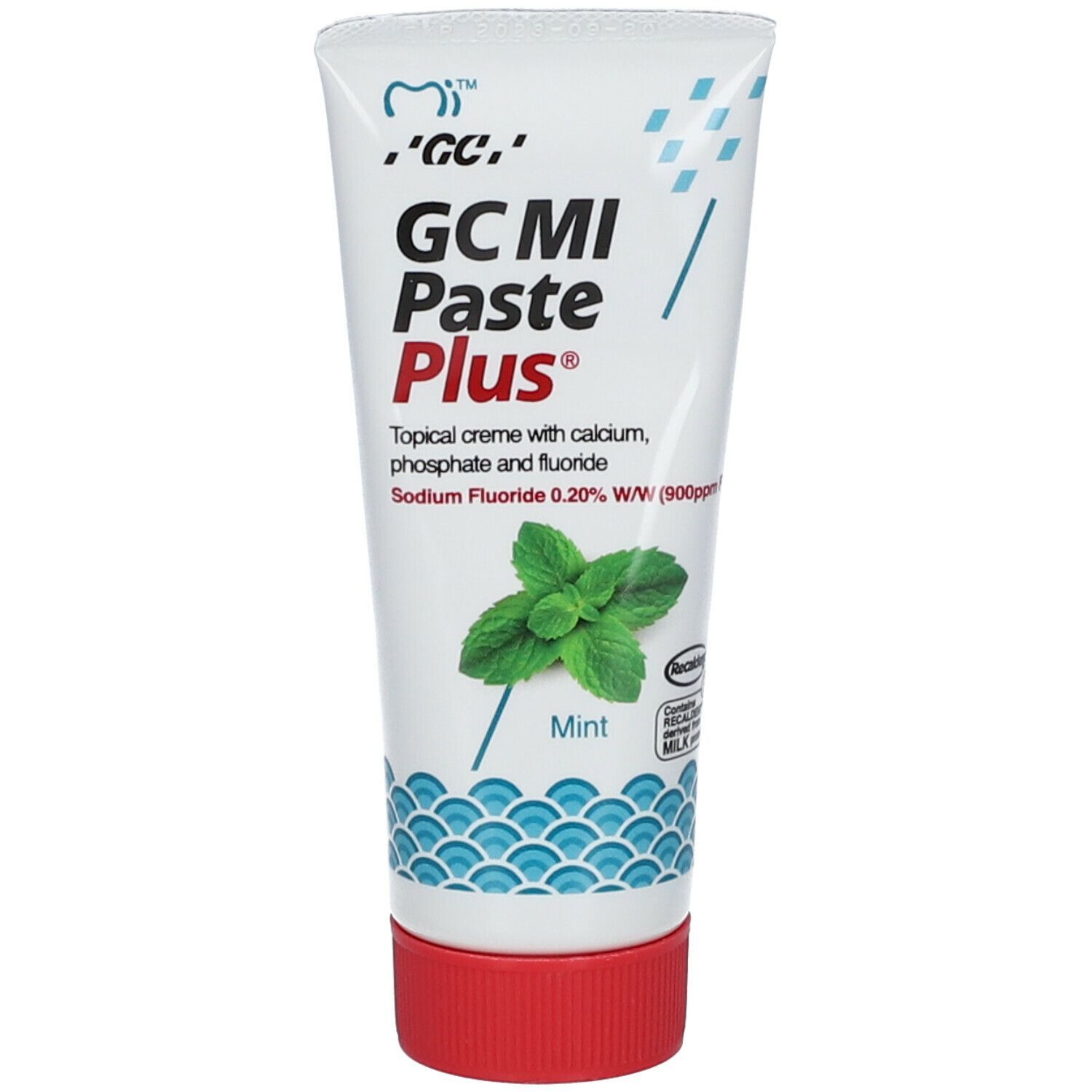 Gcmi Paste Plus® Menthe