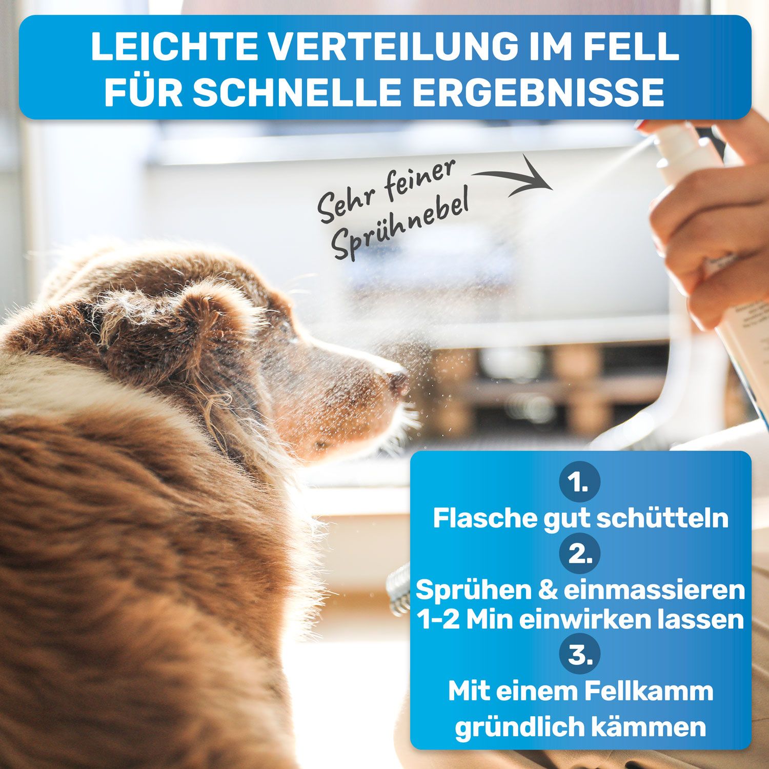 Nahaufnahme eines Hundes, der mit Fellpflege Spray besprüht wird. Auf dem Bild ist eine Anleitung zur Anwendung des Sprays abgebildet.