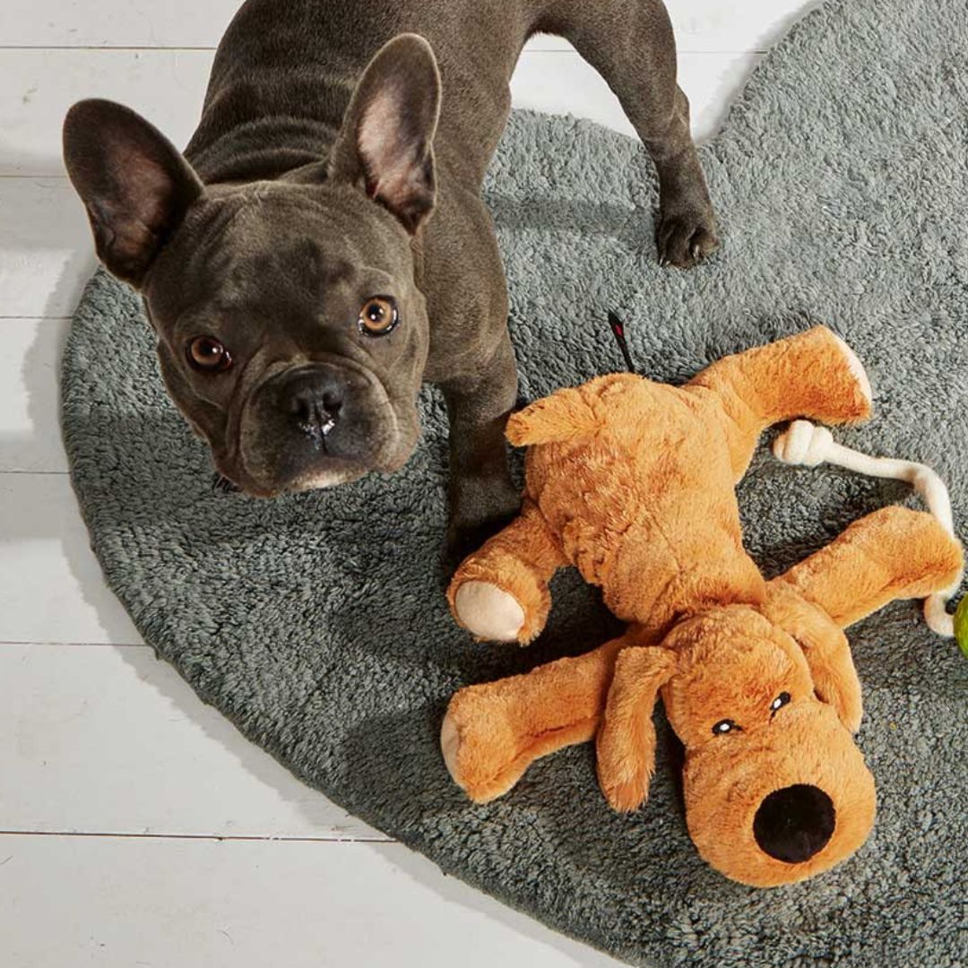 WOLTERS Plüschhund