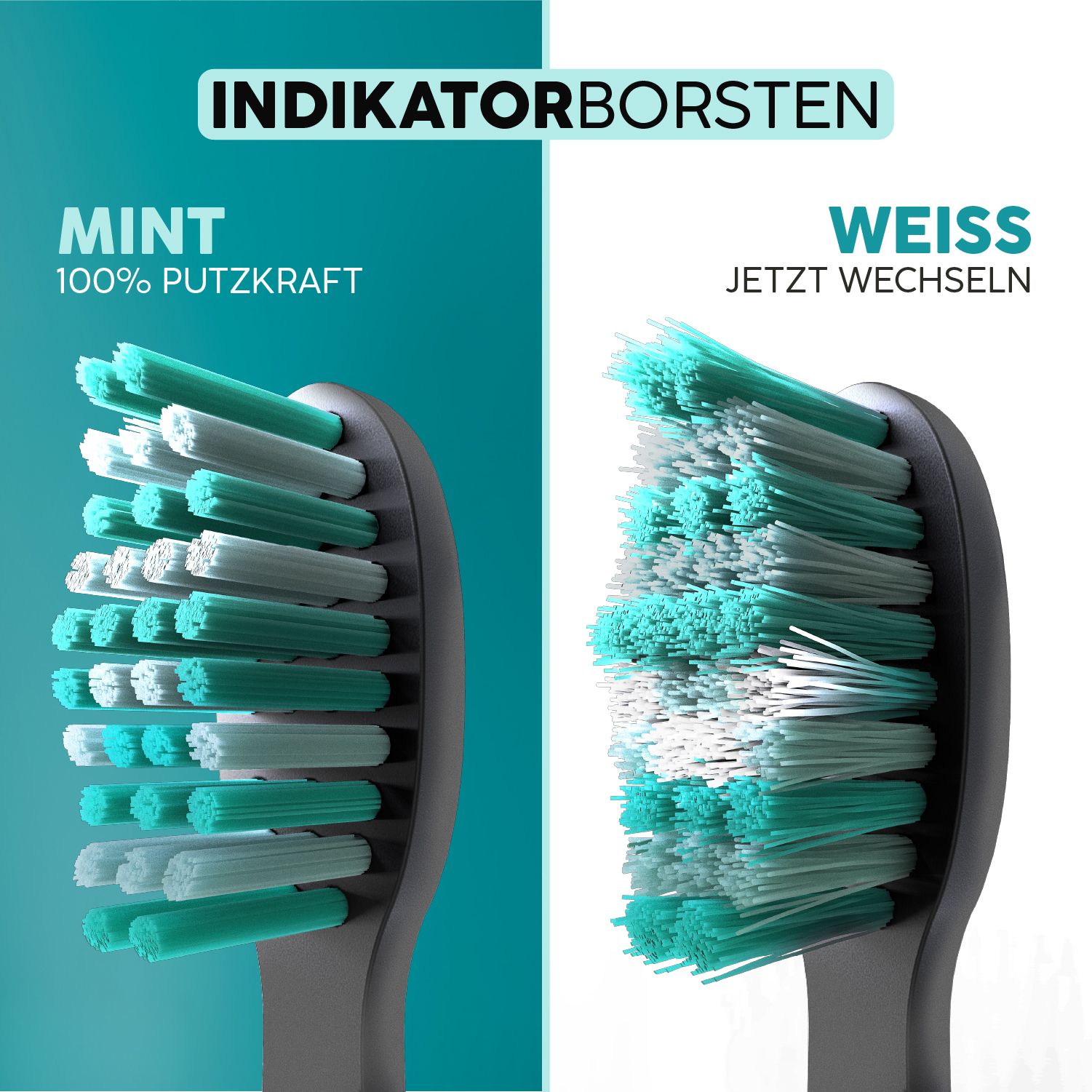Zwei Zahnbürstenköpfe nebeneinander. Links: Mint, grüne Borsten. Rechts: Weiß, weiße Borsten. Text: Indikatorborsten, jetzt wechseln.