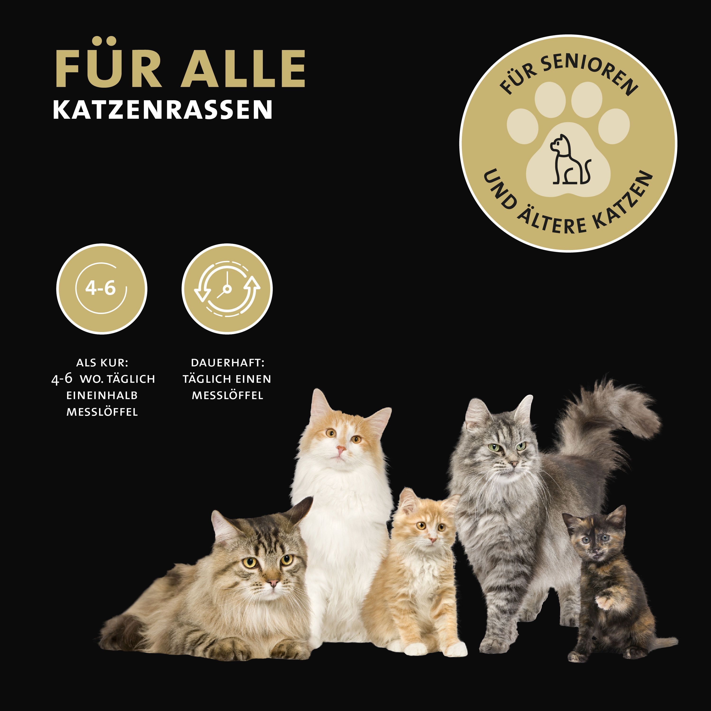 Verschiedene Katzenrassen. Text: Für alle Katzenrassen. Für Senioren und ältere Katzen. Dosierung.