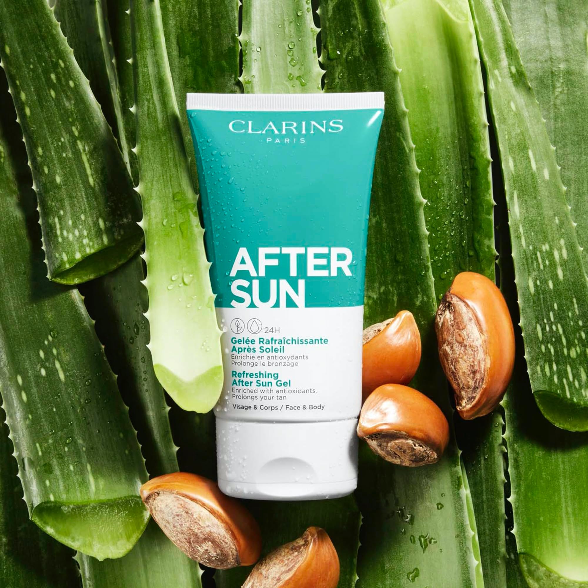 Clarins After Sun Gel Tube auf Aloe Vera Blättern und Samen. Türkis-weiße Tube.