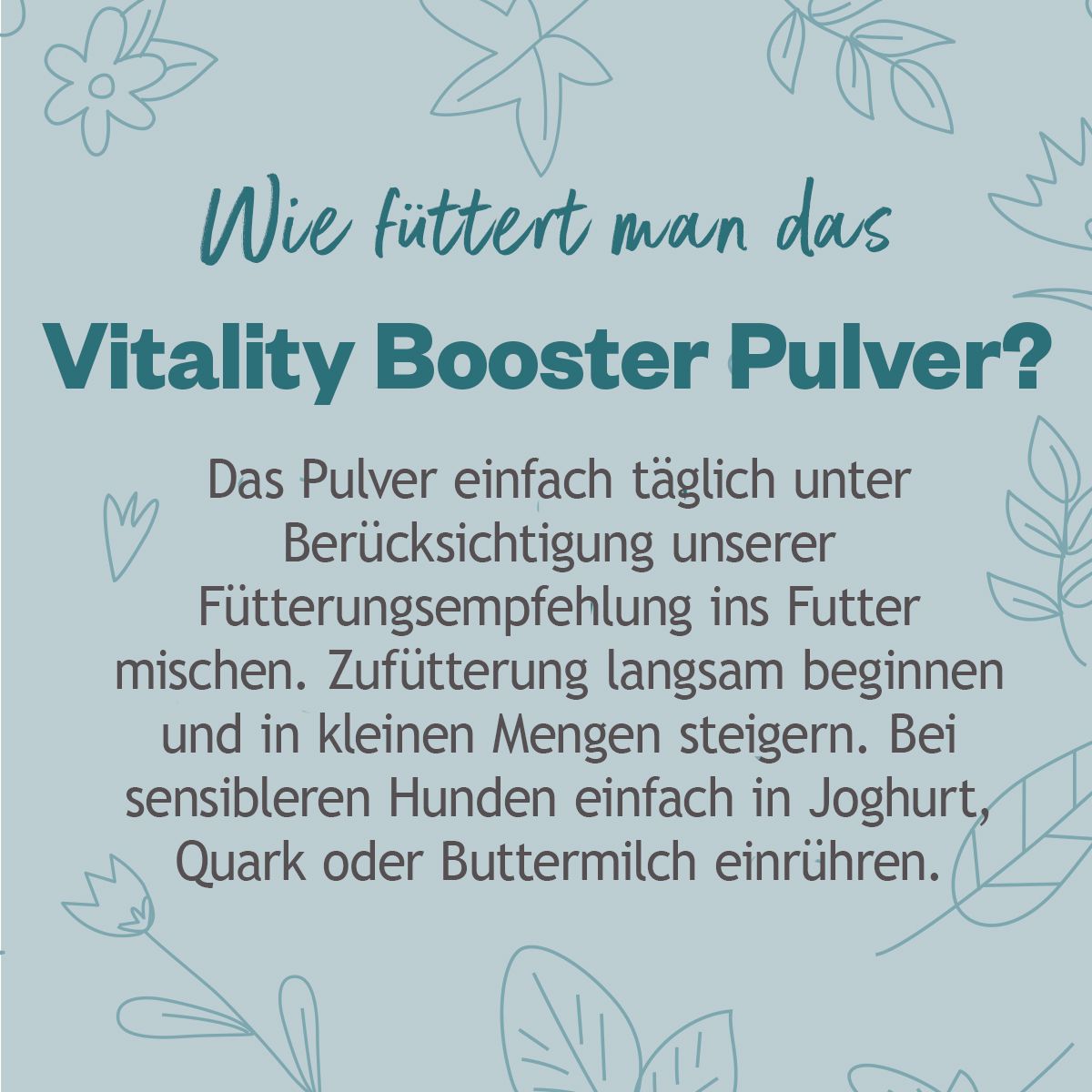 GRAU HOKAMIX Vitality Booster